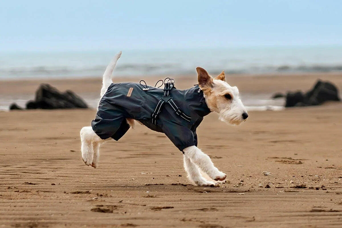 Dark Gray Full - Body Dog Raincoat – Sleek, Waterproof & Reflective Protection - Paw Charge