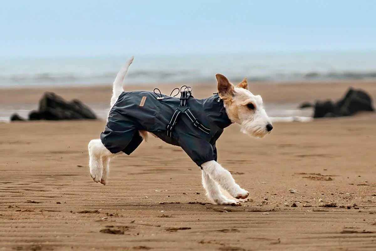 Impermeabile Integrale per Cani Grigio Scuro – Elegante, Impermeabile e Riflettente