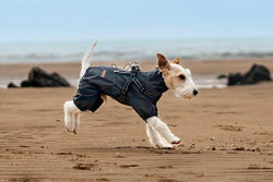 Dark Gray Full - Body Dog Raincoat – Sleek, Waterproof & Reflective Protection - Paw Charge