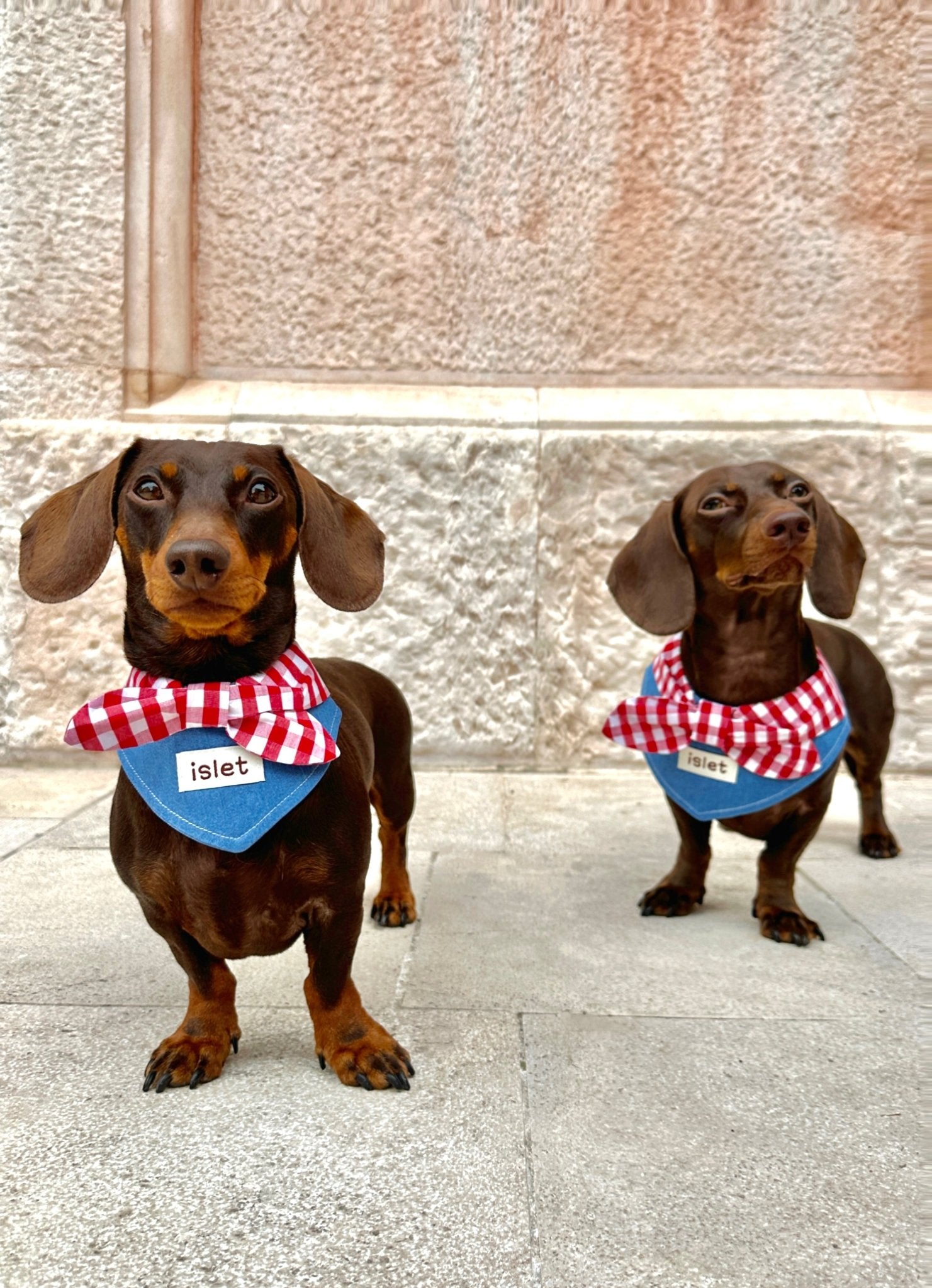 Denim & Gingham Pet Bandana – Rustic Style with a Playful Red Bow - Paw Charge