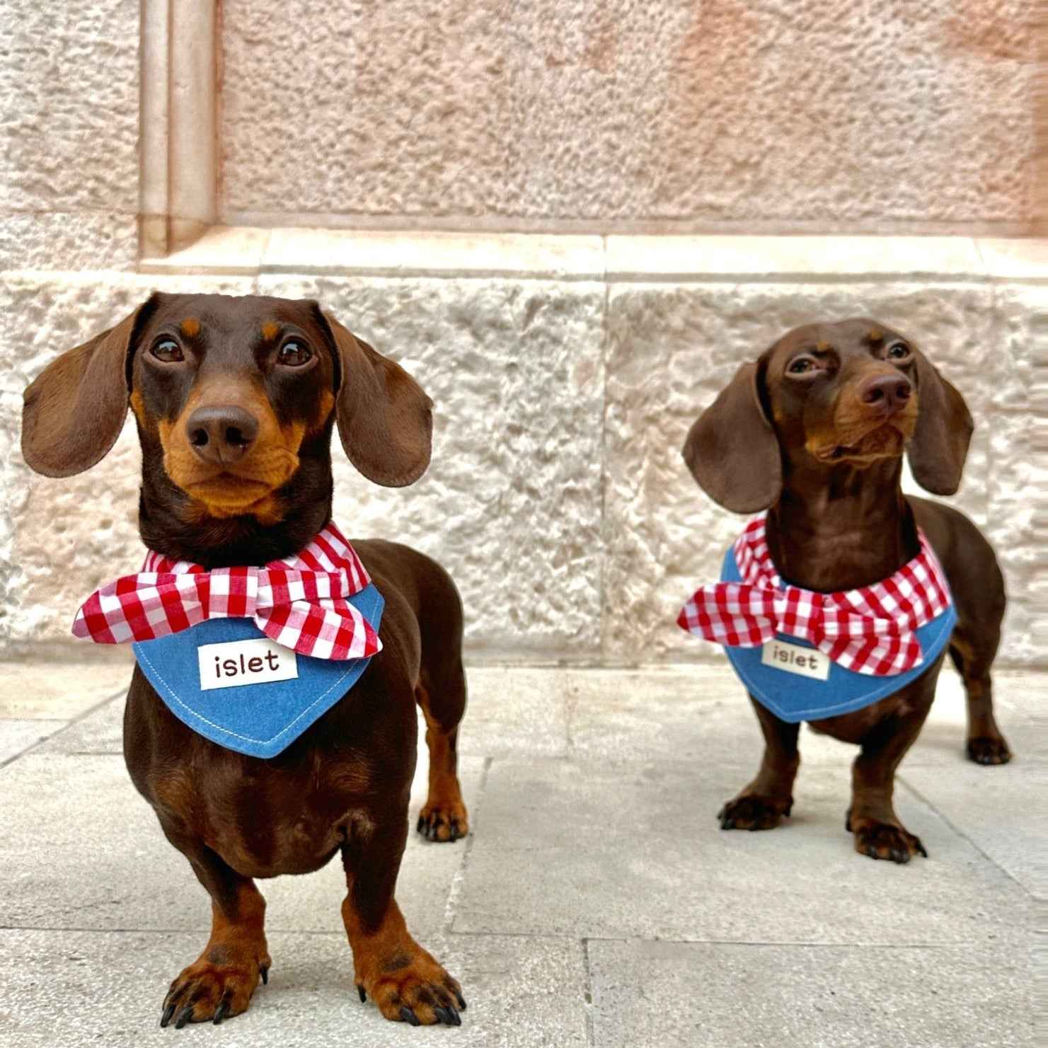 Bandana per Animali in Denim e Quadretti – Stile Rustico con Allegro Fiocco Rosso