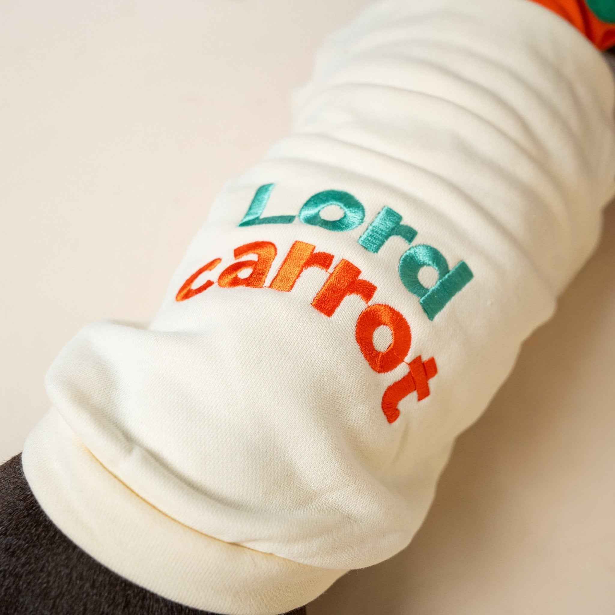 Felpa per Bulldog Francese con motivo carota – Modello Invernale Foderato Morbida, Calda