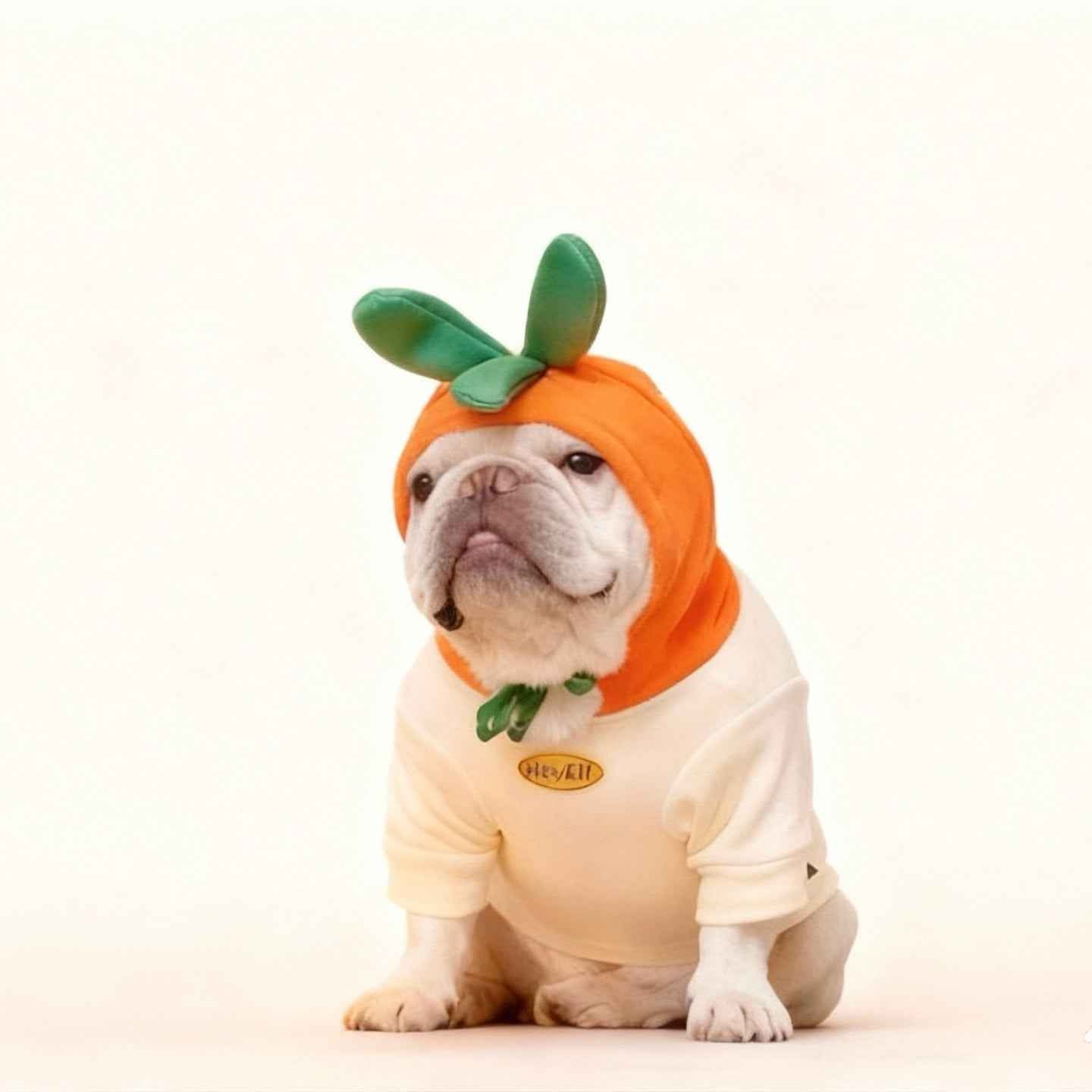 Felpa per Bulldog Francese con motivo carota – Modello Invernale Foderato Morbida, Calda