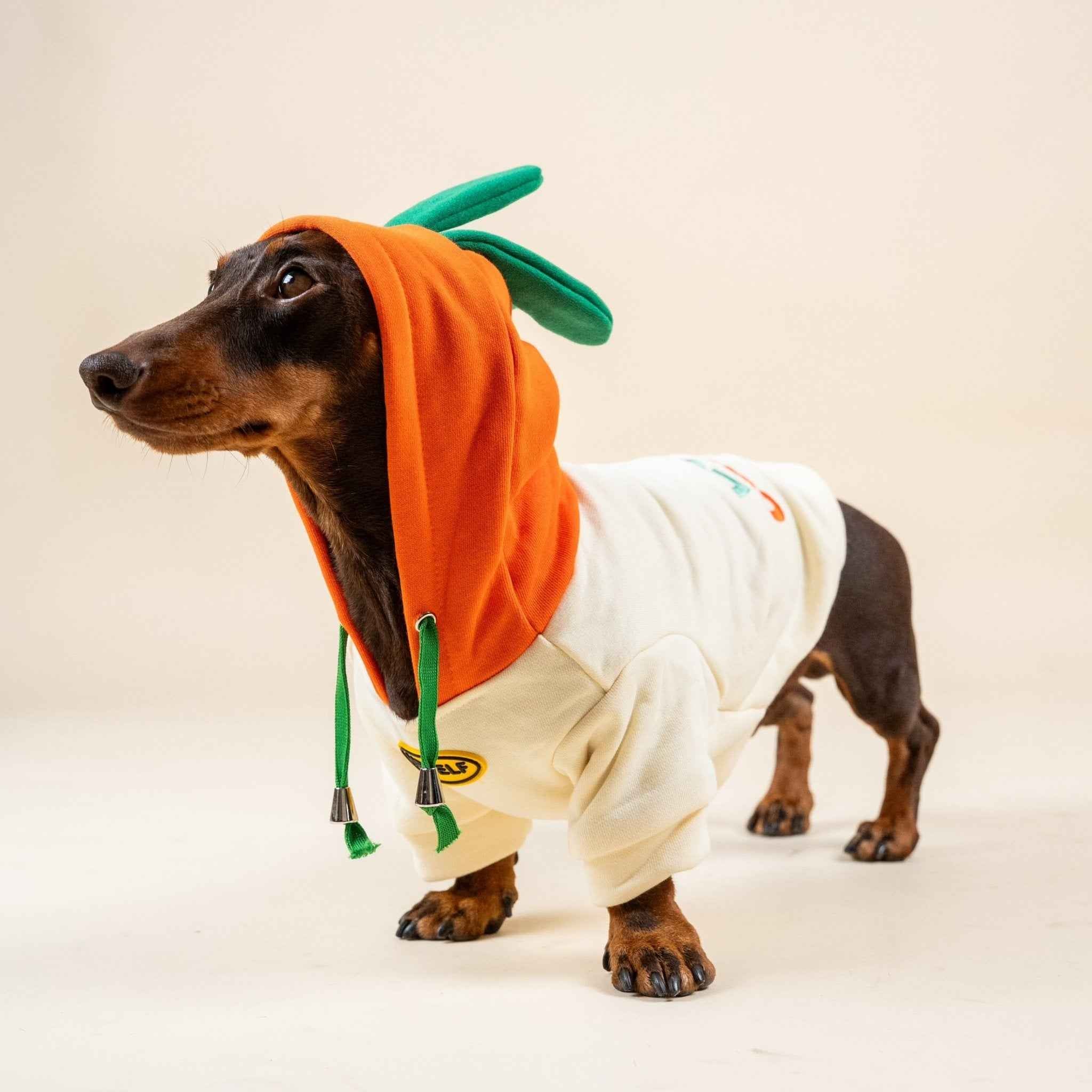 Felpa per Bulldog Francese con motivo carota – Modello Invernale Foderato Morbida, Calda