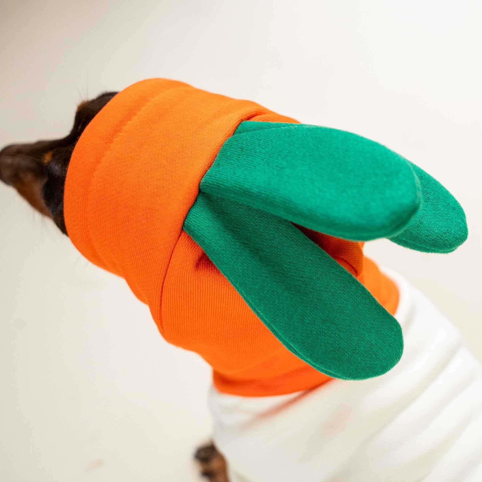 Felpa per Bulldog Francese con motivo carota – Modello Invernale Foderato Morbida, Calda