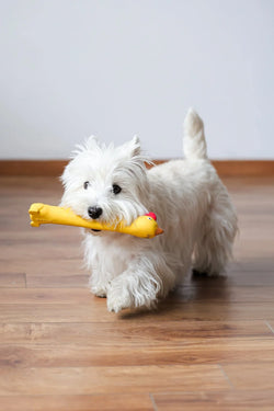 Flying Chicken Squeaky Dog Toy – Tossable, Durable & Fun for Fetch - Paw Charge