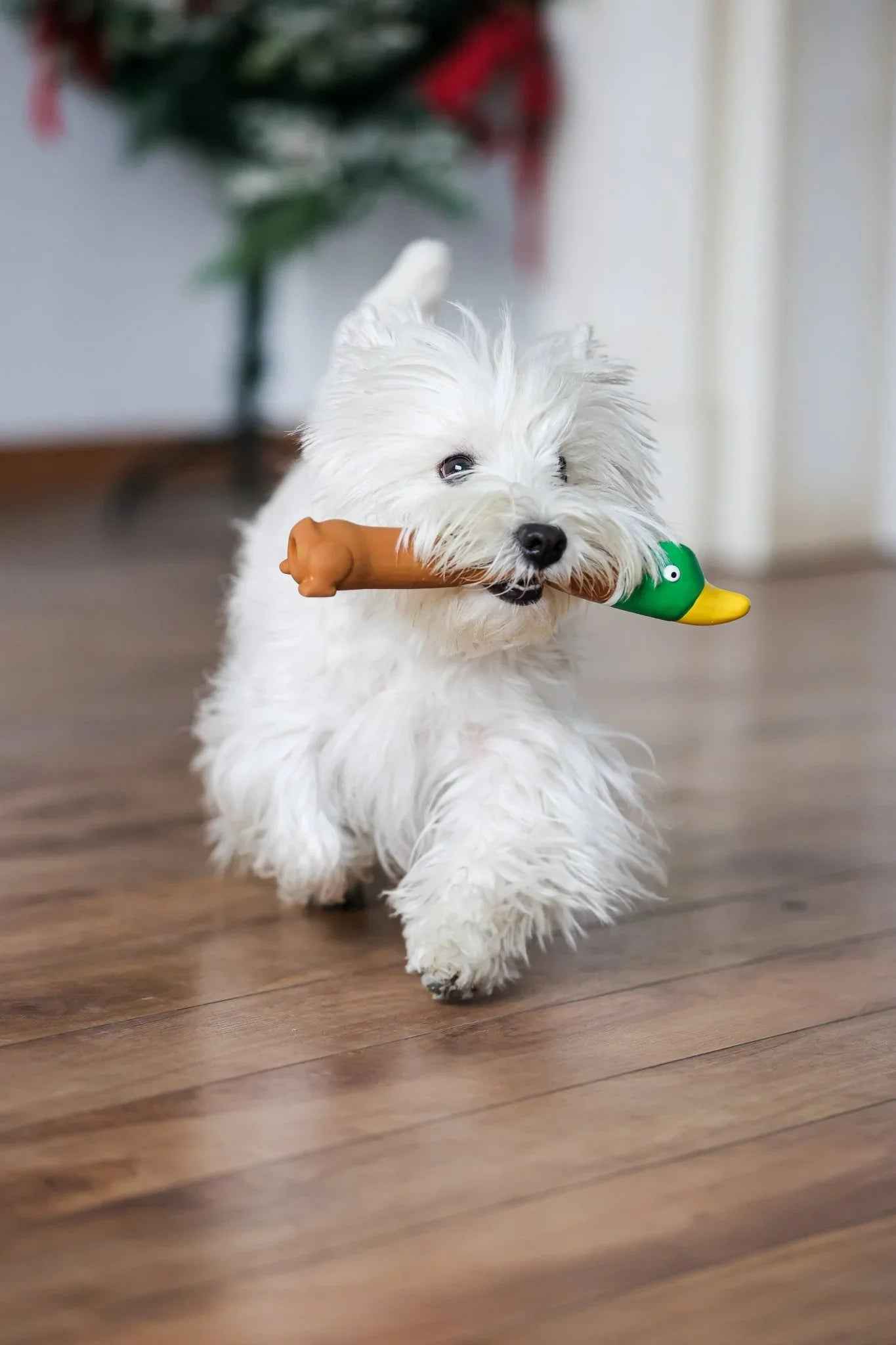 Flying Duck con Squeaker – Giocattolo da Riporto per Cani Energici