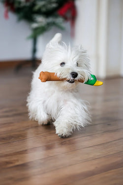Flying Duck Squeaky Toy – Long - Range Toss & Durable Play for Dogs - Paw Charge