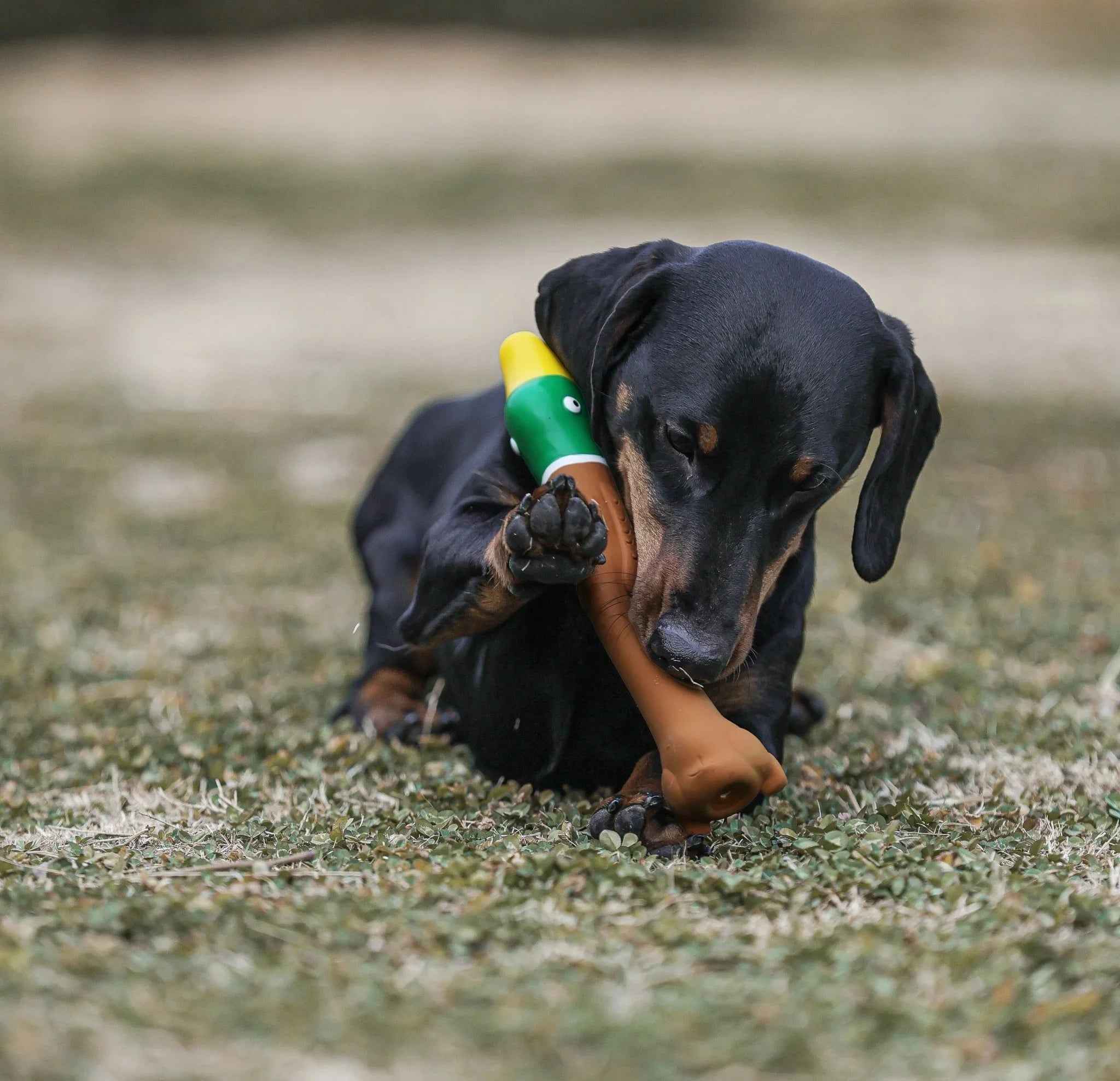 Flying Duck con Squeaker – Giocattolo da Riporto per Cani Energici