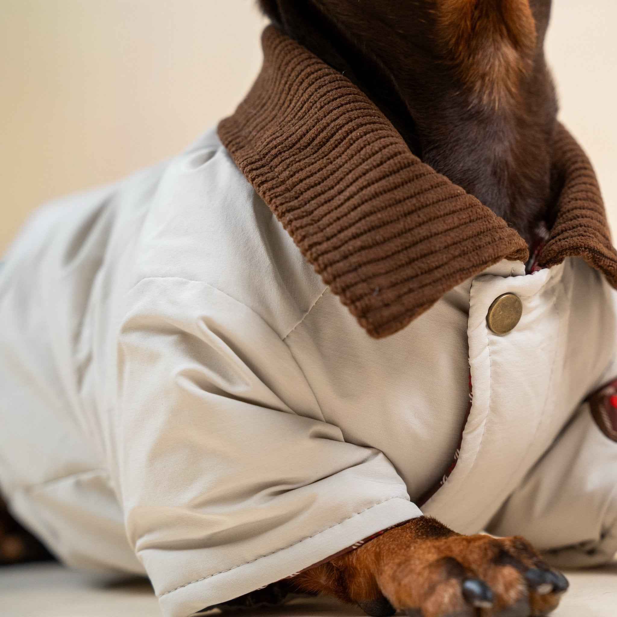 Giacca imbottita color kaki per cani – Cappotto caldo con ricami, comodo per l’autunno e l’inverno