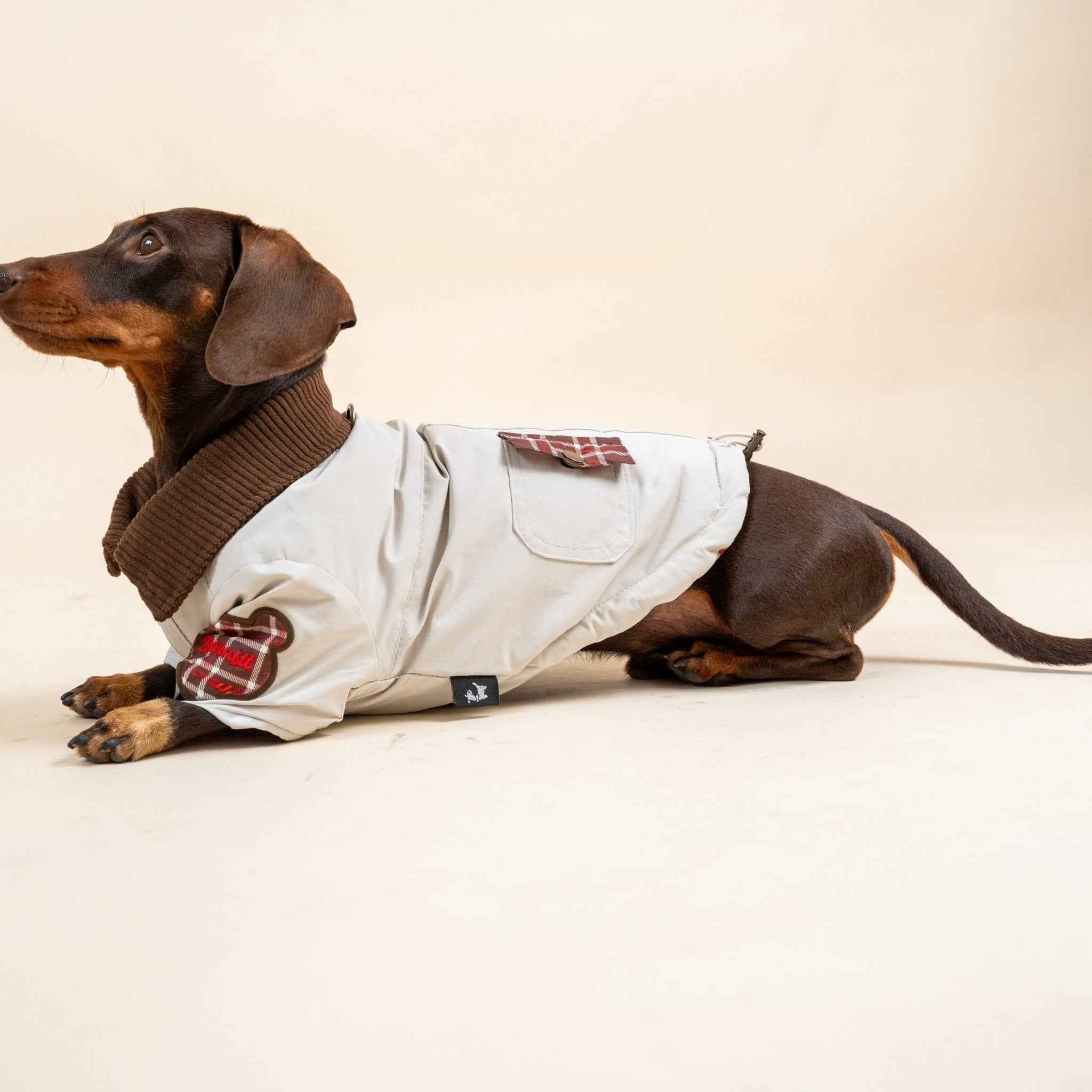 Giacca imbottita color kaki per cani – Cappotto caldo con ricami, comodo per l’autunno e l’inverno