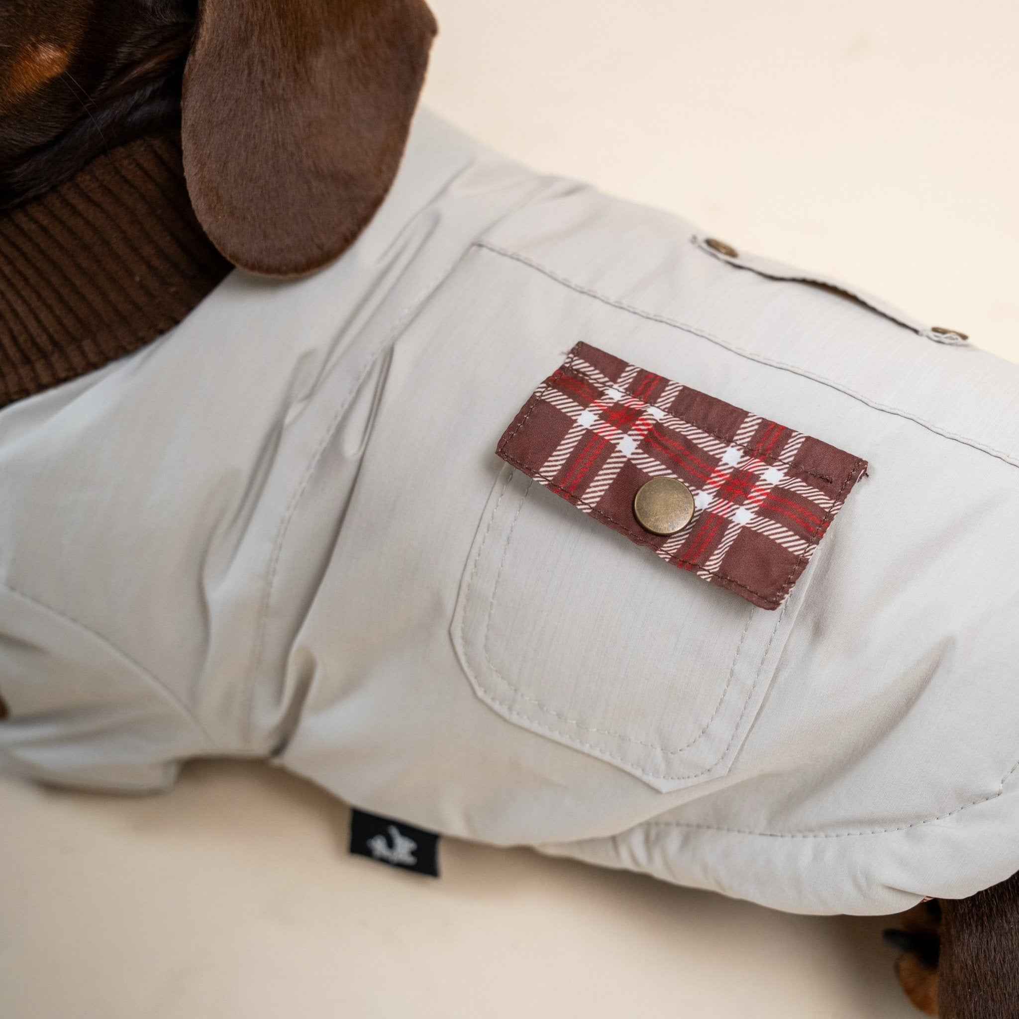 Giacca imbottita color kaki per cani – Cappotto caldo con ricami, comodo per l’autunno e l’inverno