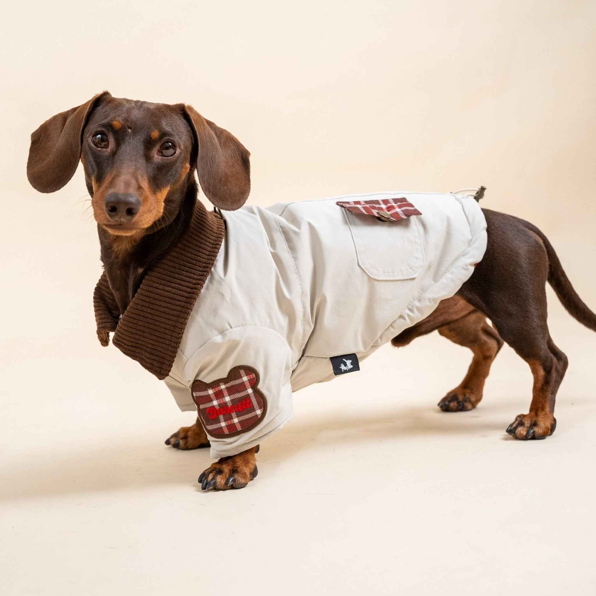 Giacca imbottita color kaki per cani – Cappotto caldo con ricami, comodo per l’autunno e l’inverno