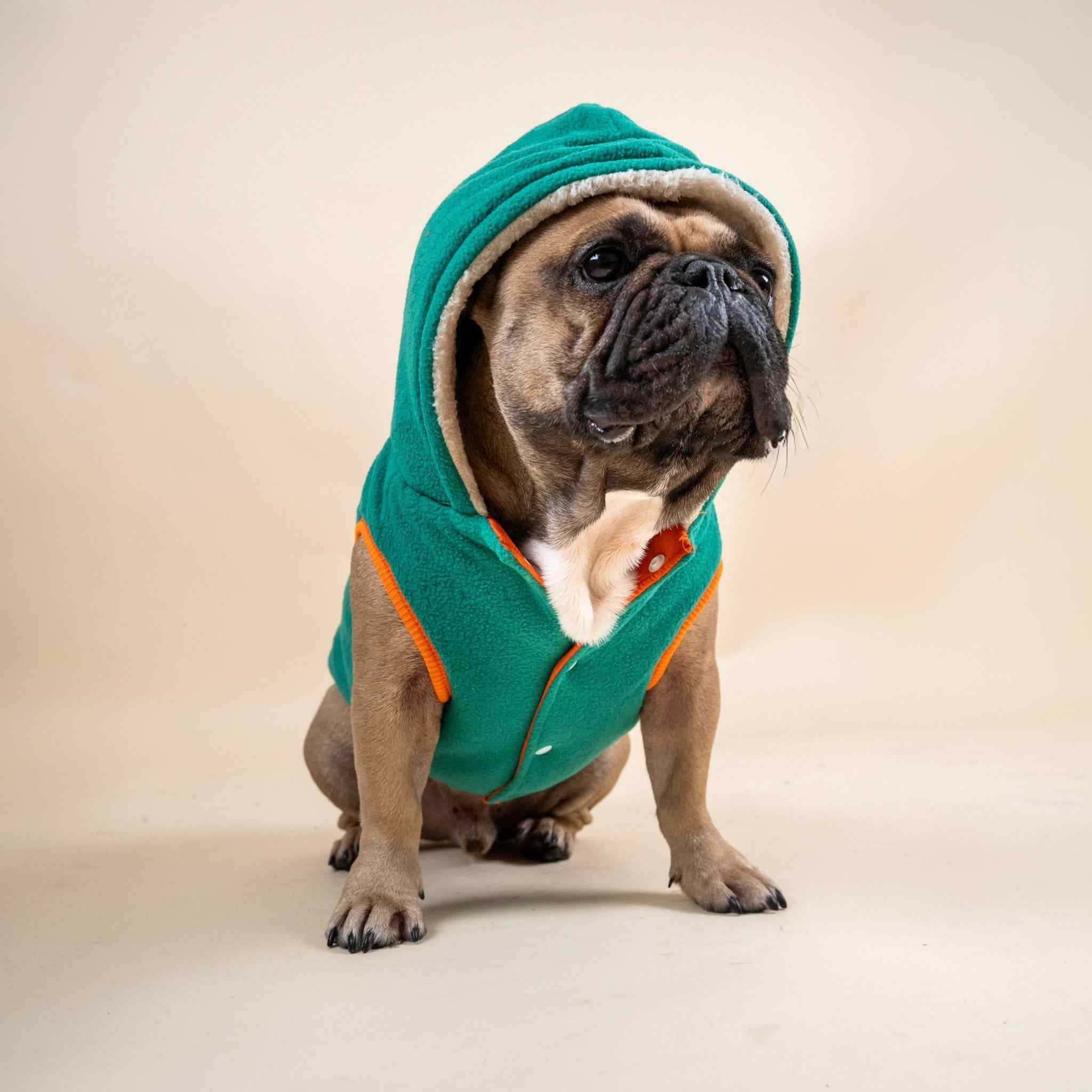 Giacca invernale per Bulldog Francese Cappotto imbottito e foderato a doppia faccia, caldo e comodo