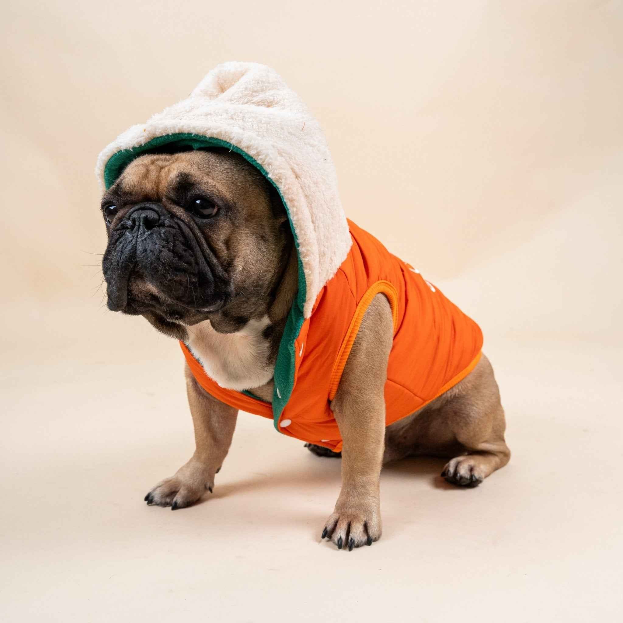 Giacca invernale per Bulldog Francese Cappotto imbottito e foderato a doppia faccia, caldo e comodo