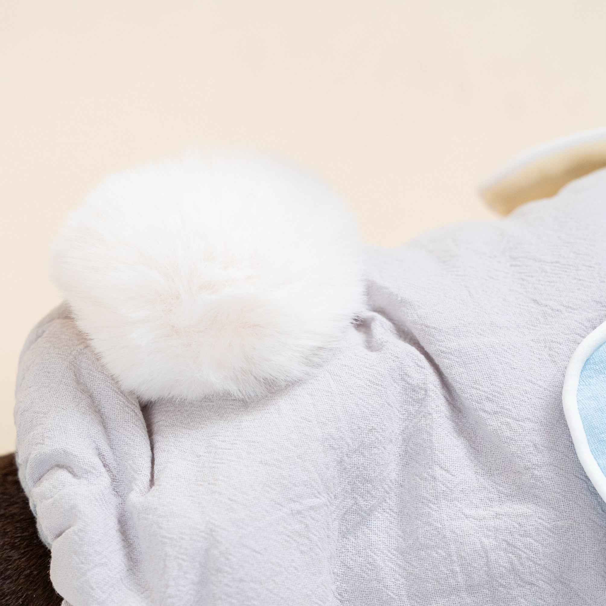 Gilet imbottito con orecchie da coniglio per cani – Caldo e morbido per l’autunno e l’inverno