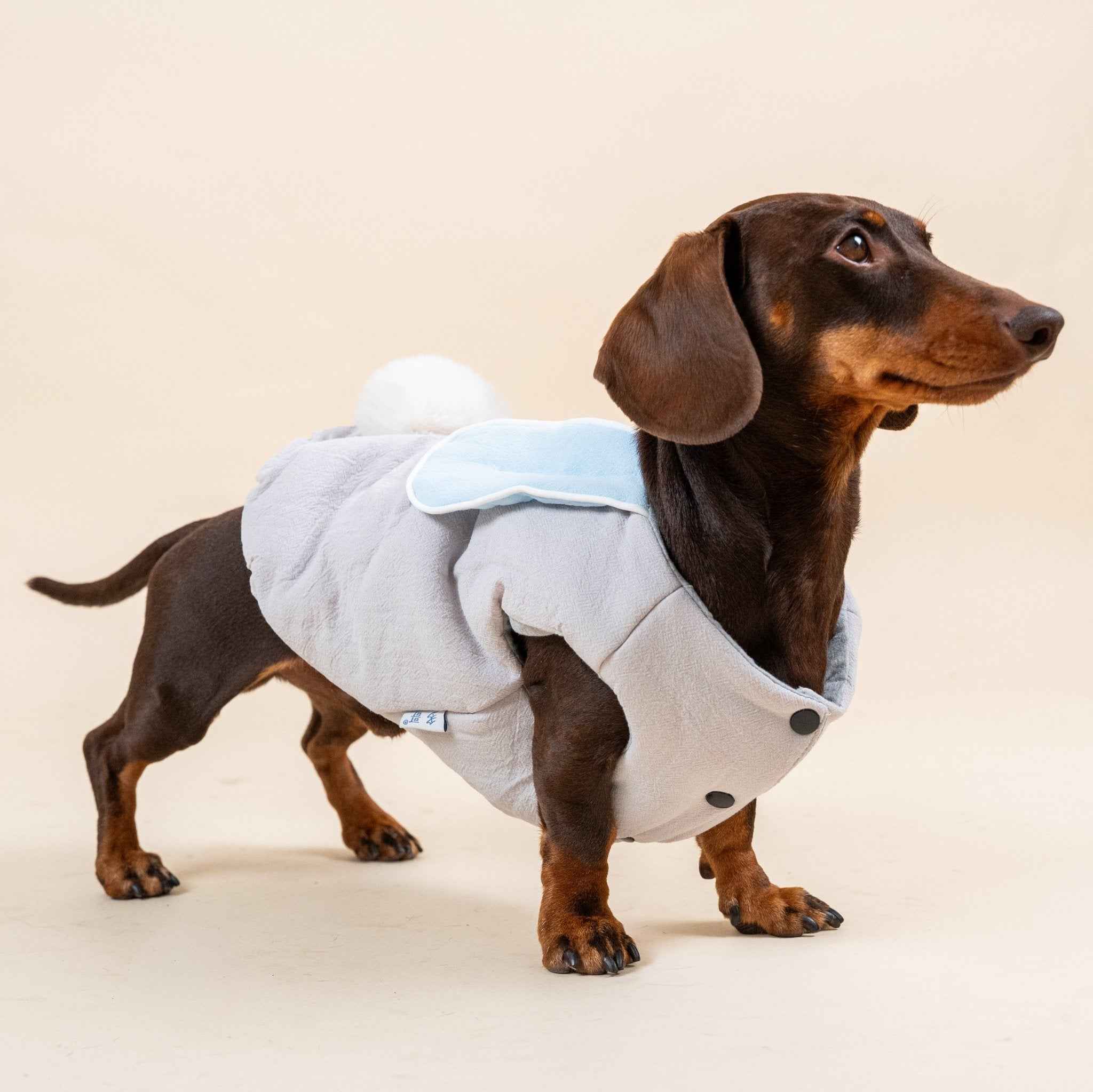 Gilet imbottito con orecchie da coniglio per cani – Caldo e morbido per l’autunno e l’inverno