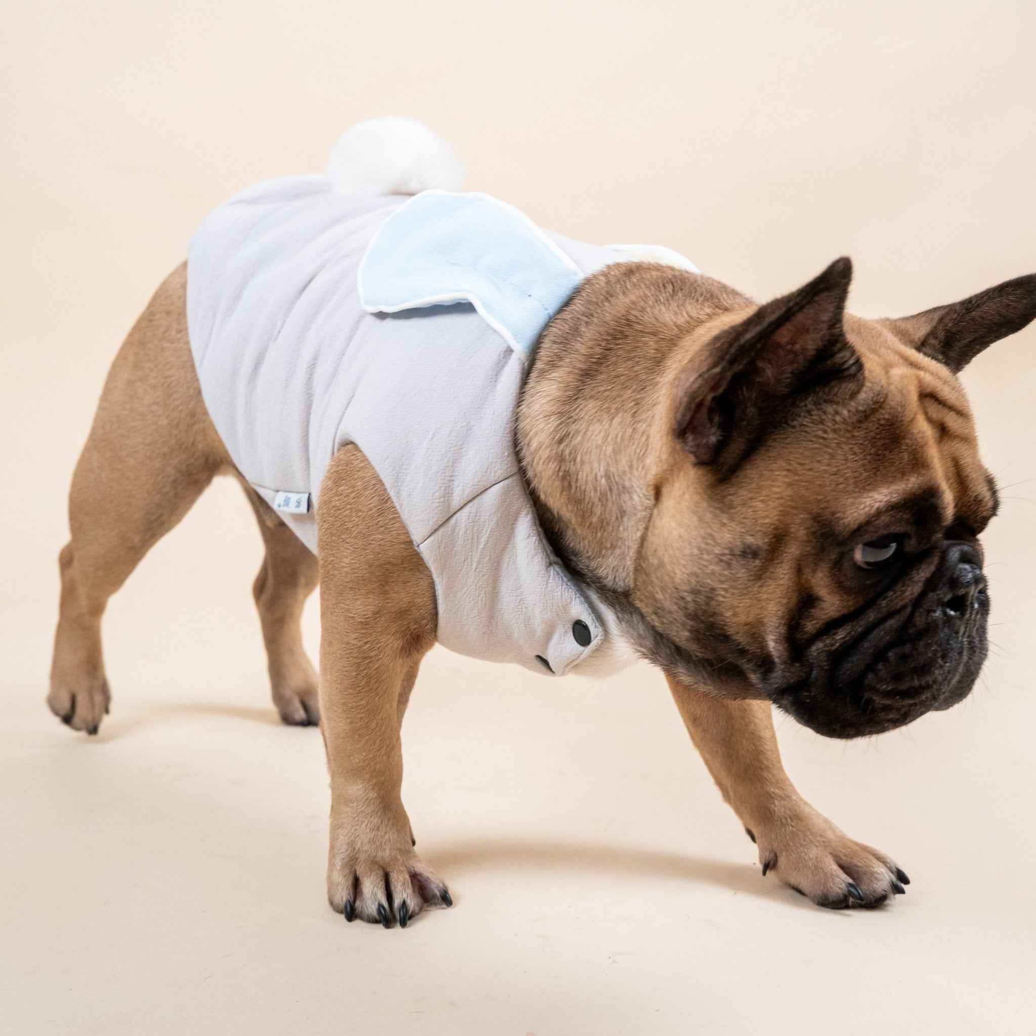 Gilet imbottito con orecchie da coniglio per cani – Caldo e morbido per l’autunno e l’inverno