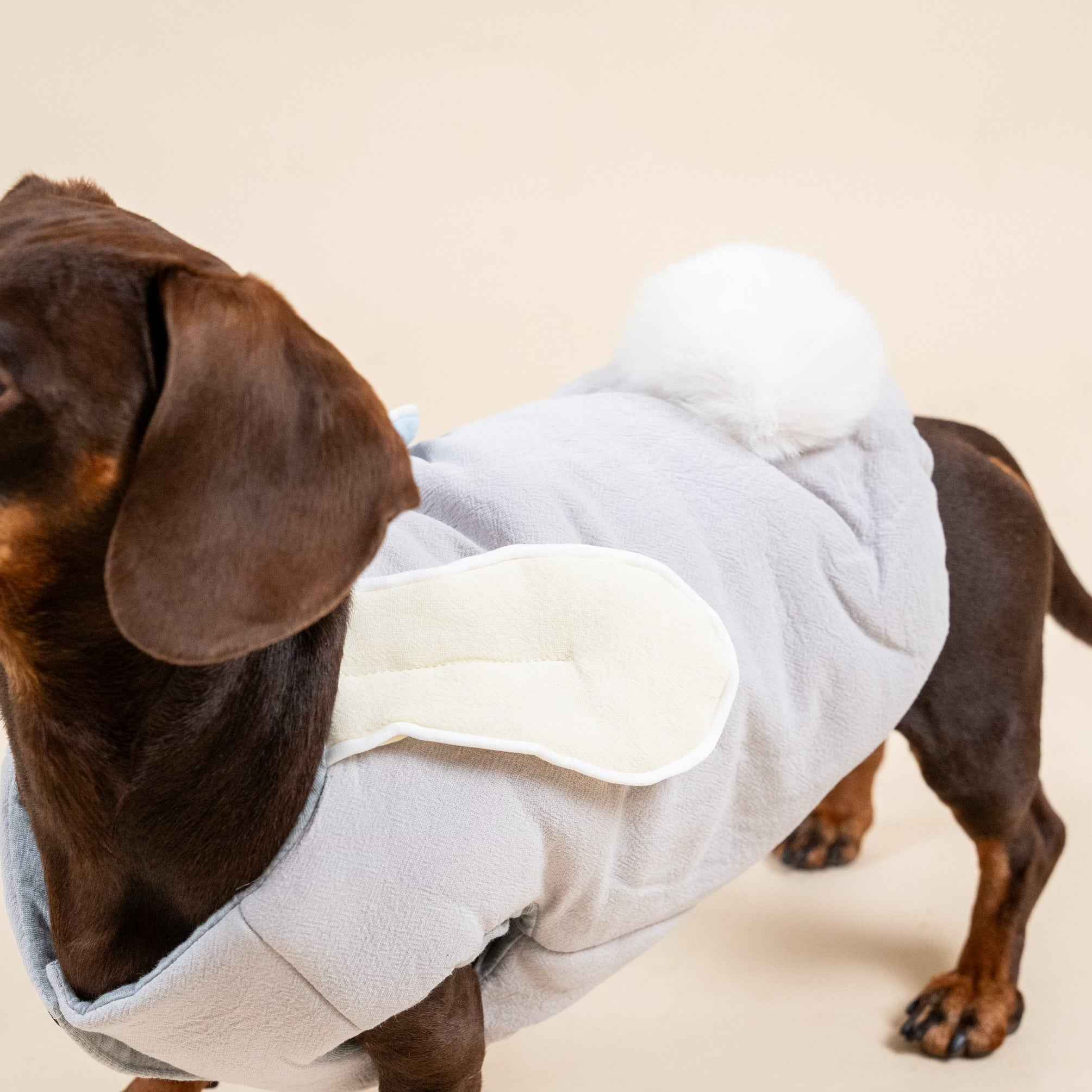 Gilet imbottito con orecchie da coniglio per cani – Caldo e morbido per l’autunno e l’inverno