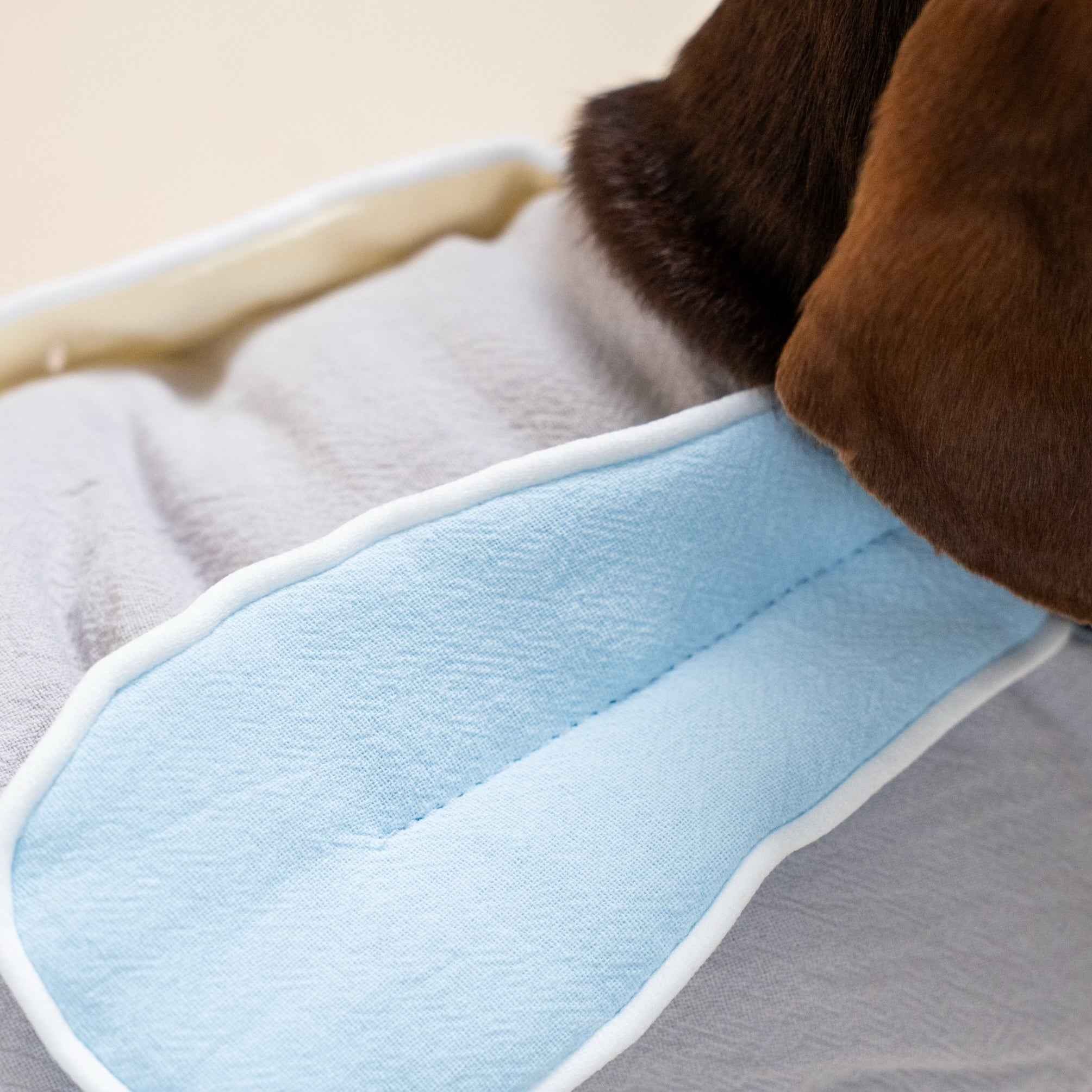 Gilet imbottito con orecchie da coniglio per cani – Caldo e morbido per l’autunno e l’inverno