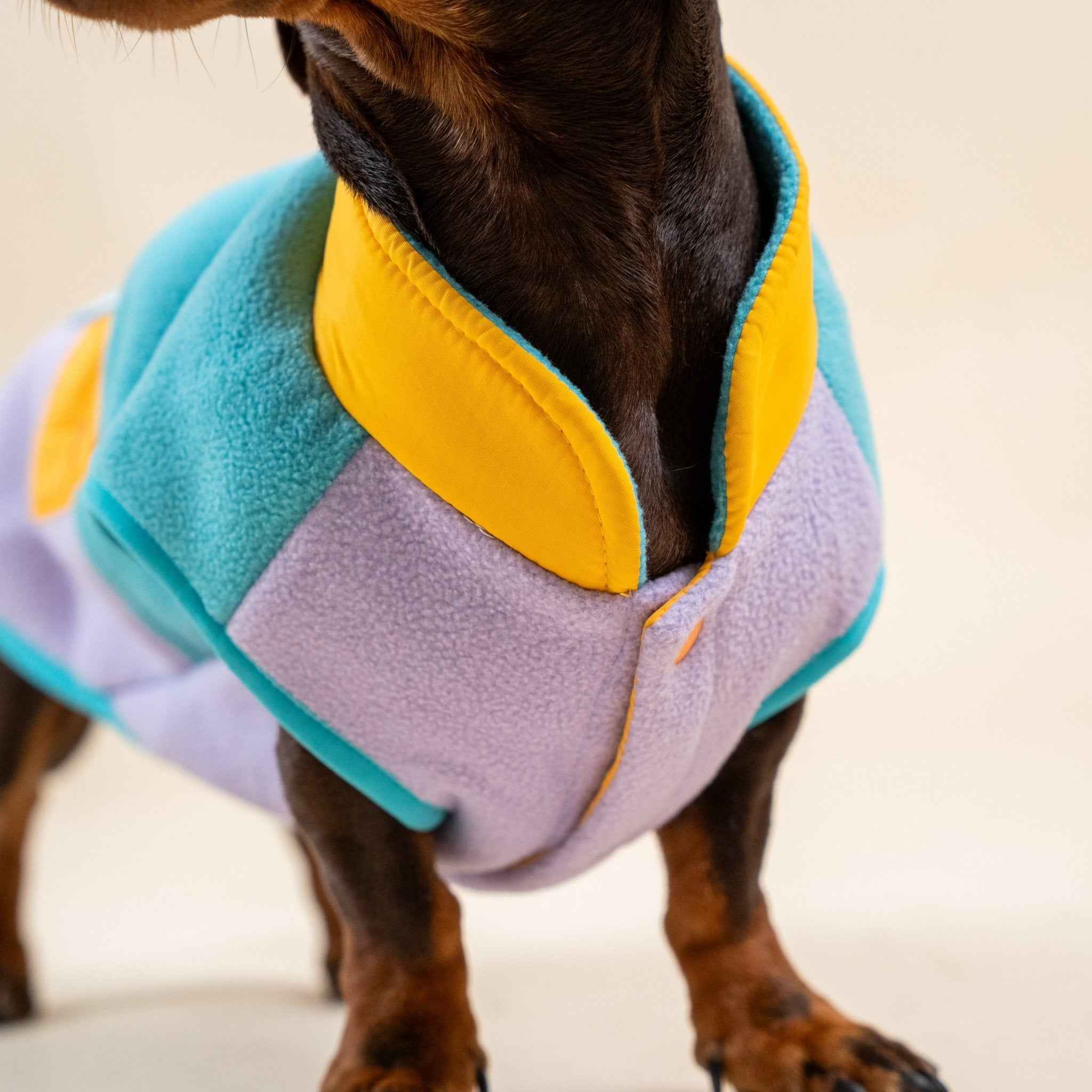 Gilet in pile colorato per cani – Pettorina con colori a contrasto, calda e comoda