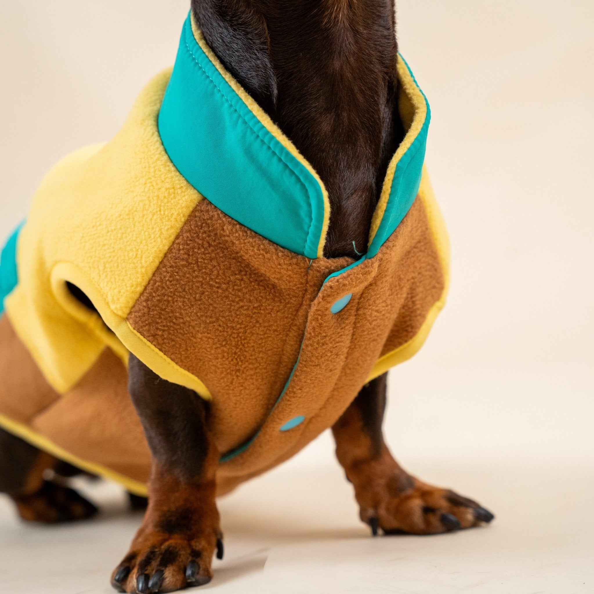 Gilet in pile colorato per cani – Pettorina con colori a contrasto, calda e comoda