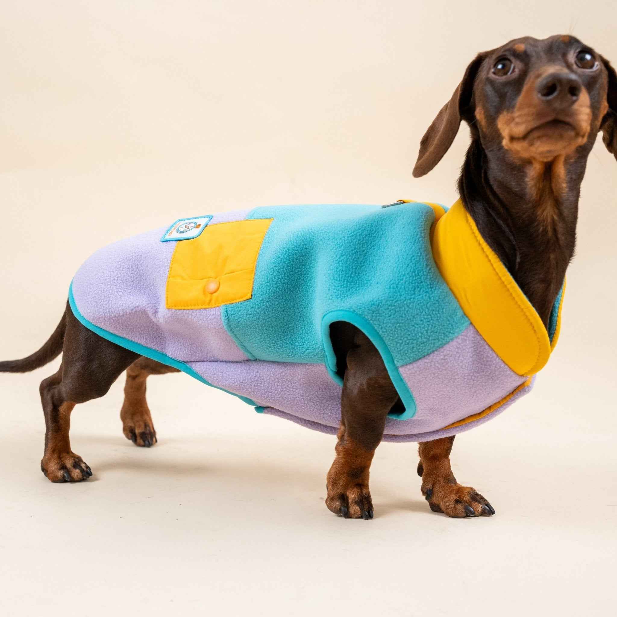 Gilet in pile colorato per cani – Pettorina con colori a contrasto, calda e comoda