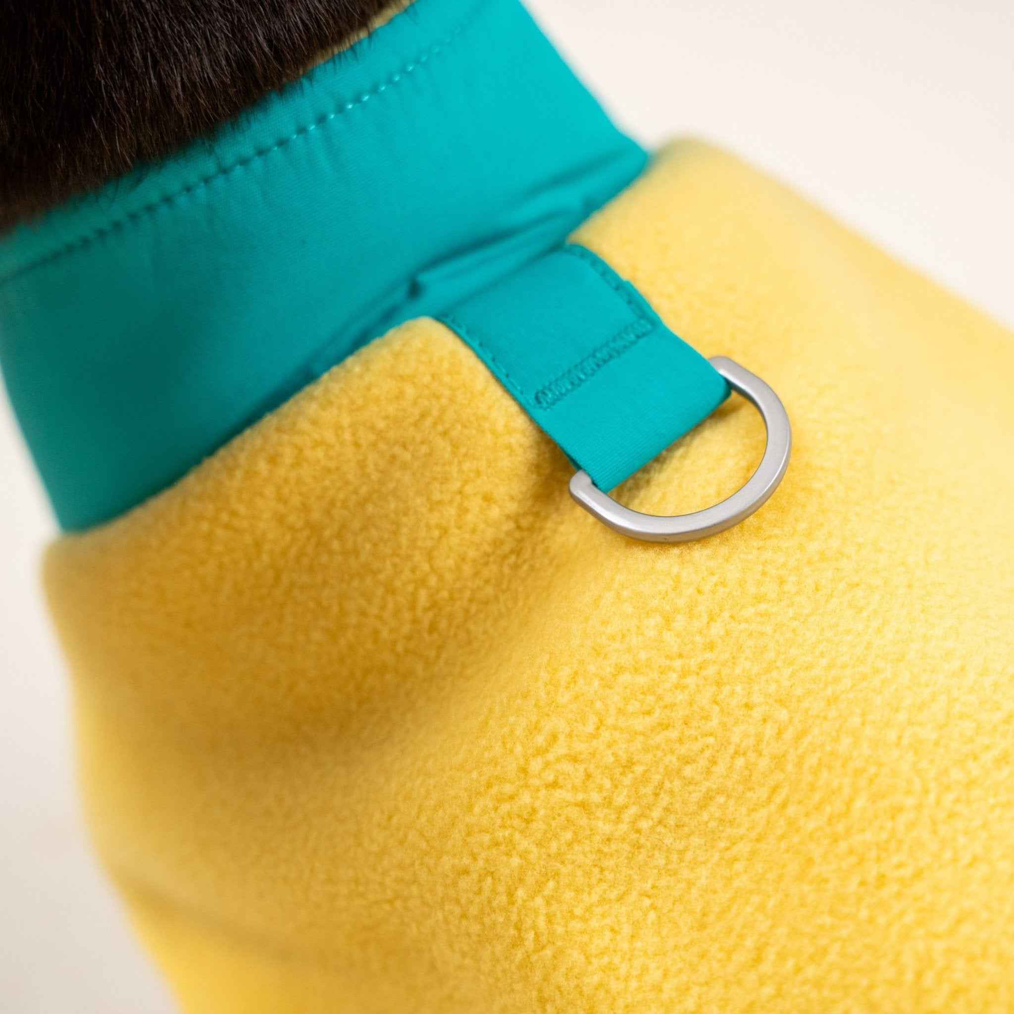 Gilet in pile colorato per cani – Pettorina con colori a contrasto, calda e comoda