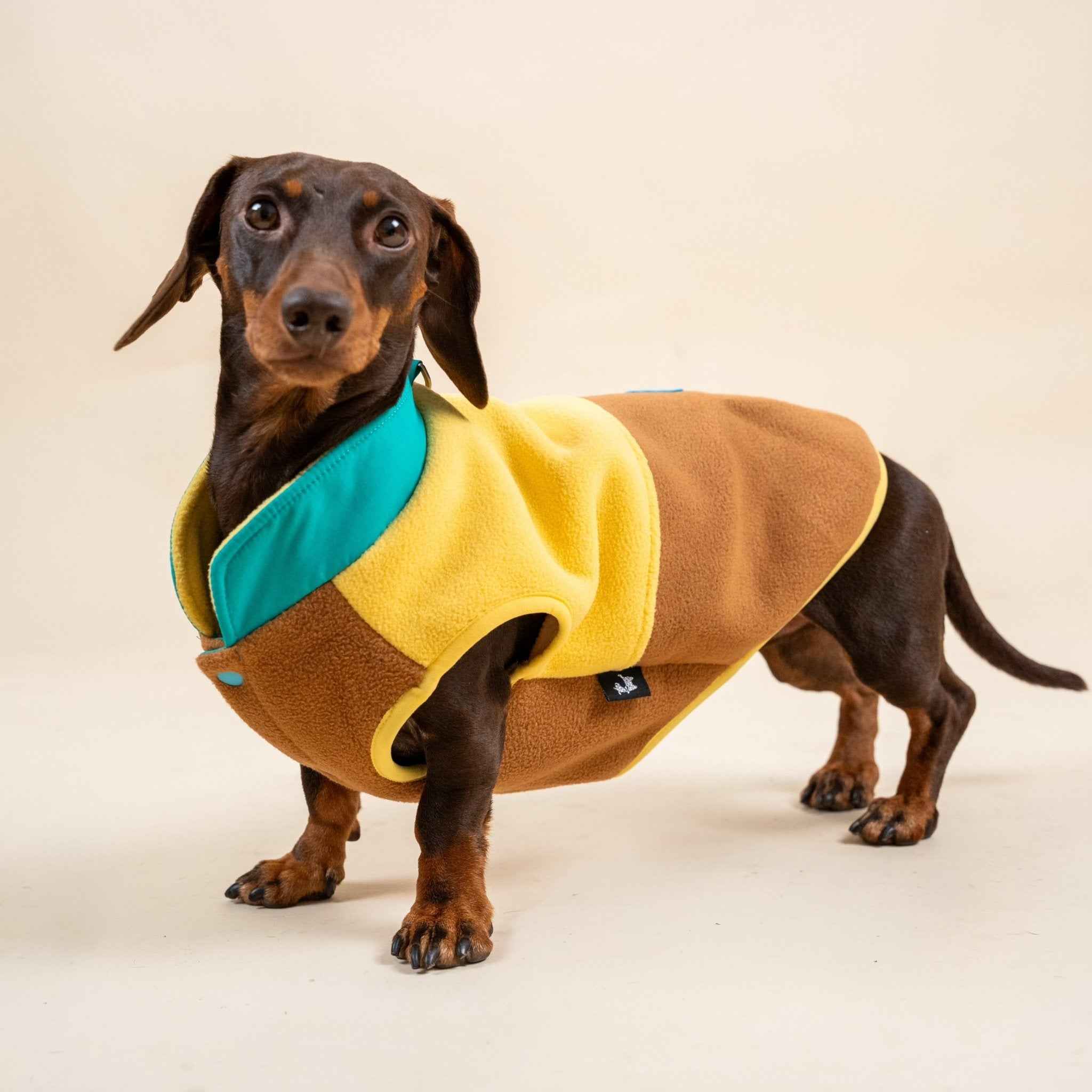 Gilet in pile colorato per cani – Pettorina con colori a contrasto, calda e comoda