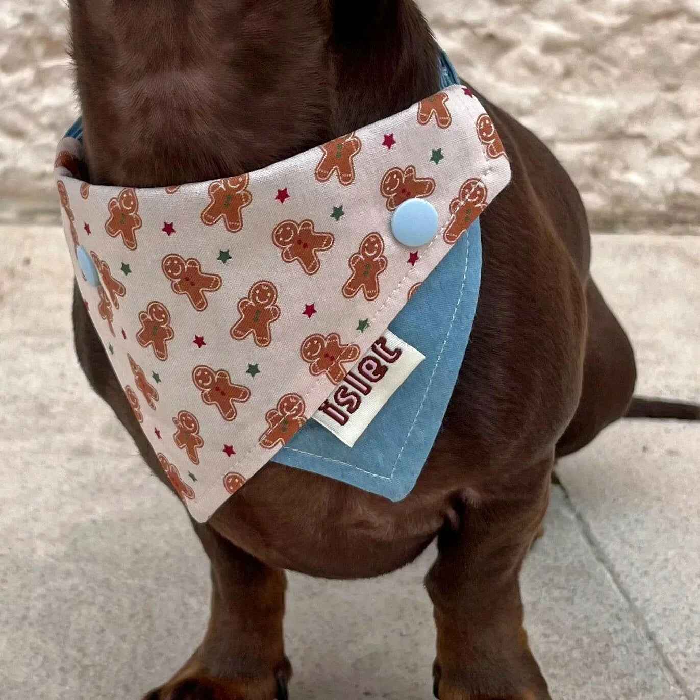 Bandana per Animali con Fantasia Pan di Zenzero – Stile Accogliente per Animali