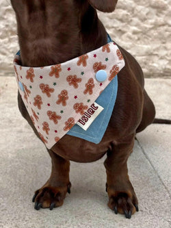 Gingerbread Print Pet Bandana – Cozy Style for Cats and Dogs - Paw Charge