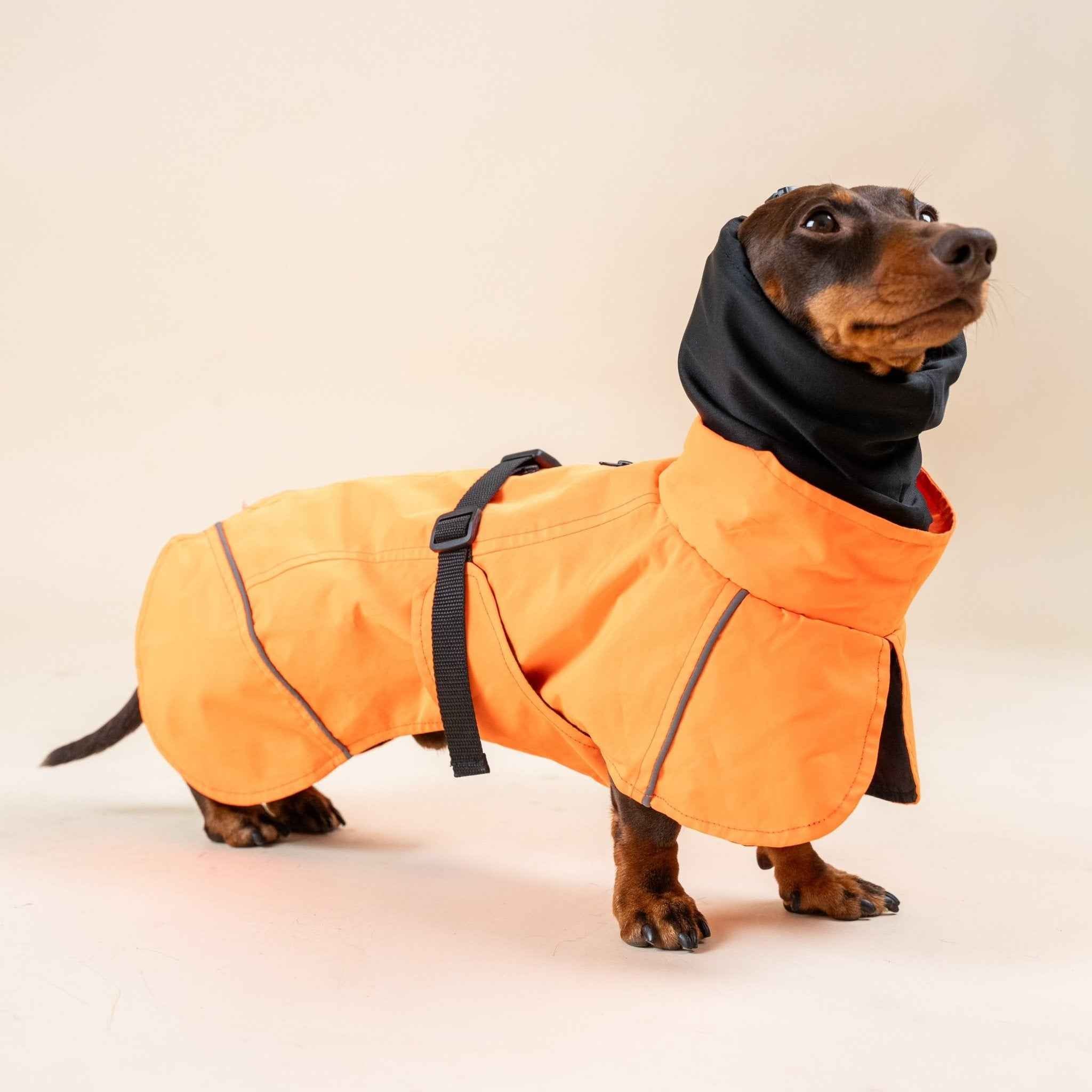 Impermeabile Arancione per Cani con Strisce Riflettenti e Cappuccio Protettivo