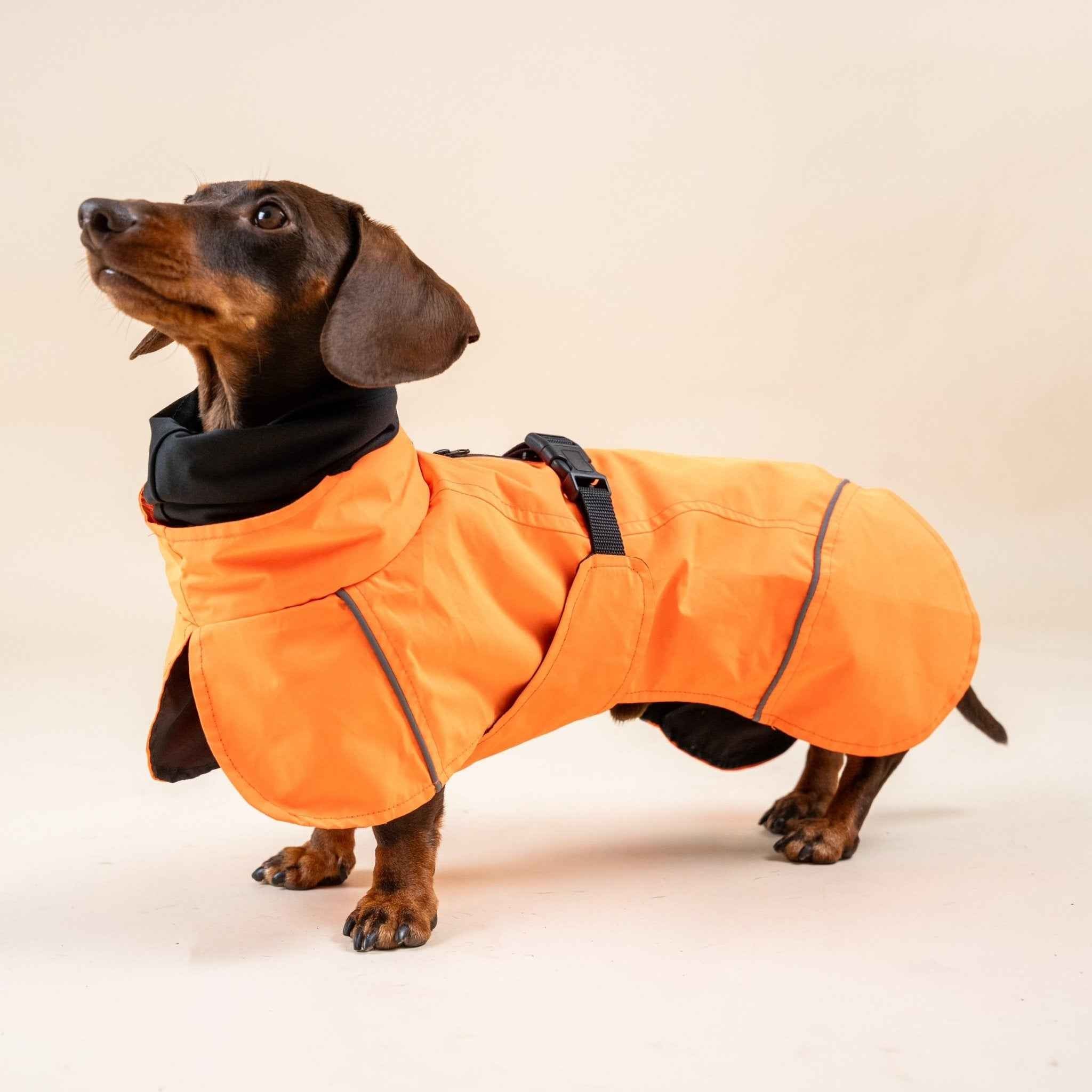 Impermeabile Arancione per Cani con Strisce Riflettenti e Cappuccio Protettivo