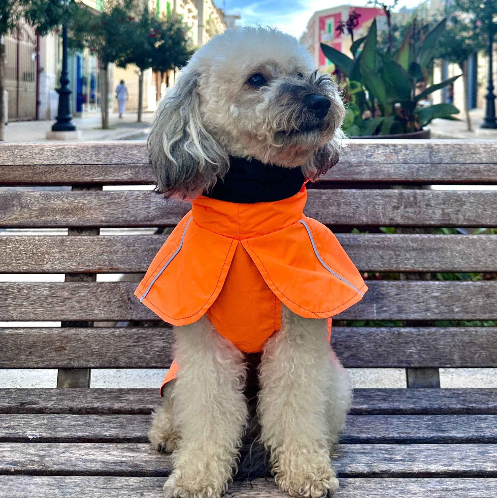 Impermeabile Arancione per Cani con Strisce Riflettenti e Cappuccio Protettivo