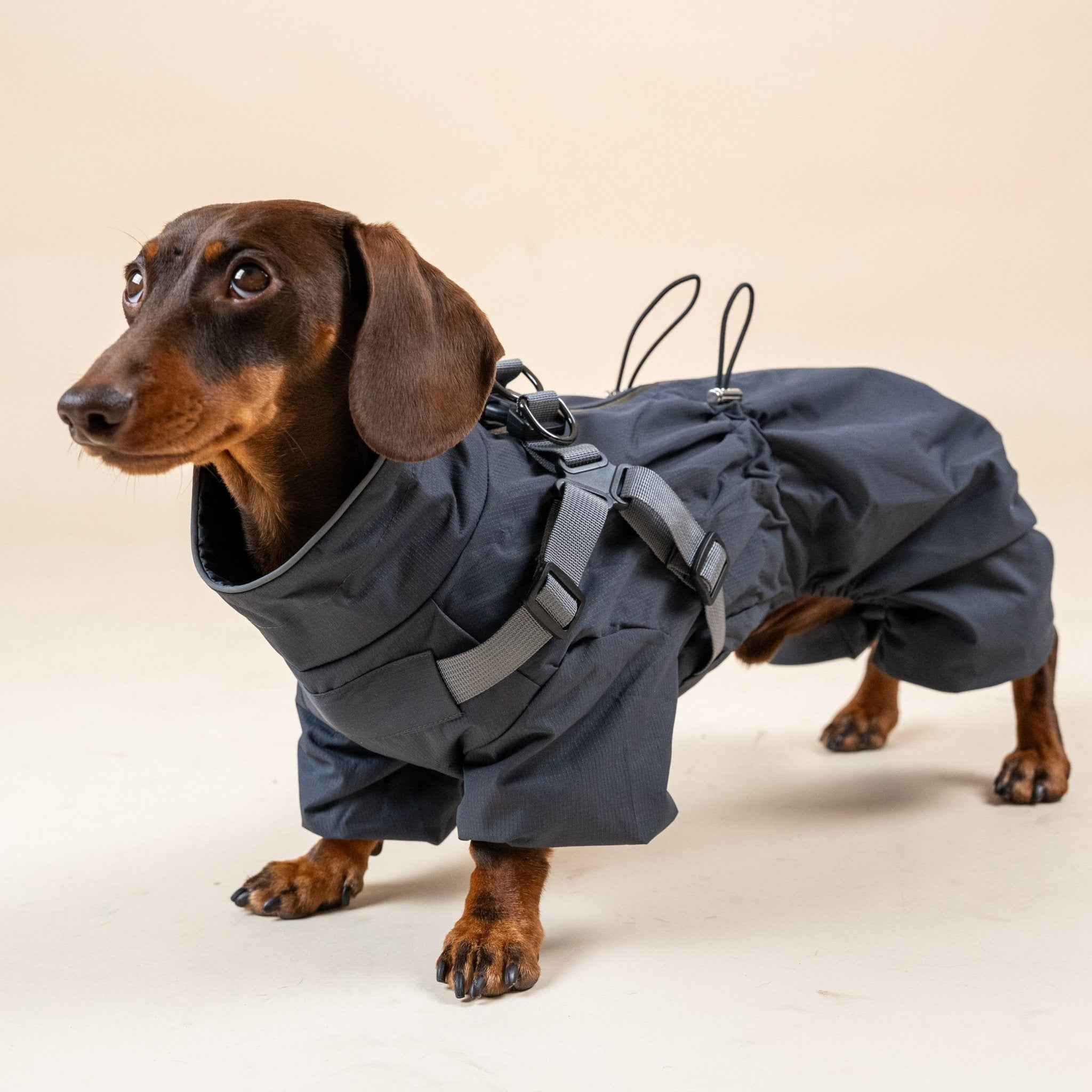 Impermeabile Integrale per Cani Grigio Scuro – Elegante, Impermeabile e Riflettente