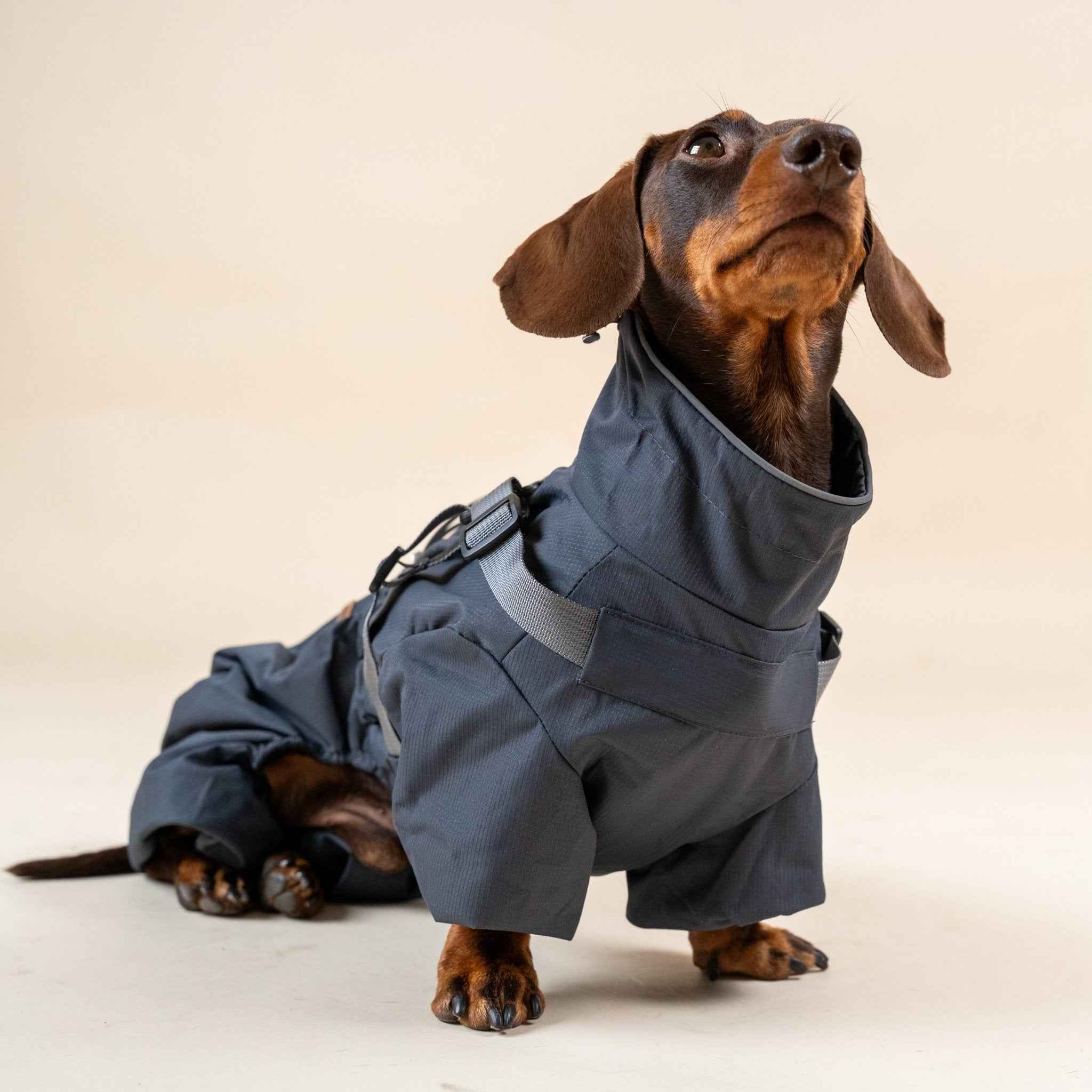 Impermeabile Integrale per Cani Grigio Scuro – Elegante, Impermeabile e Riflettente
