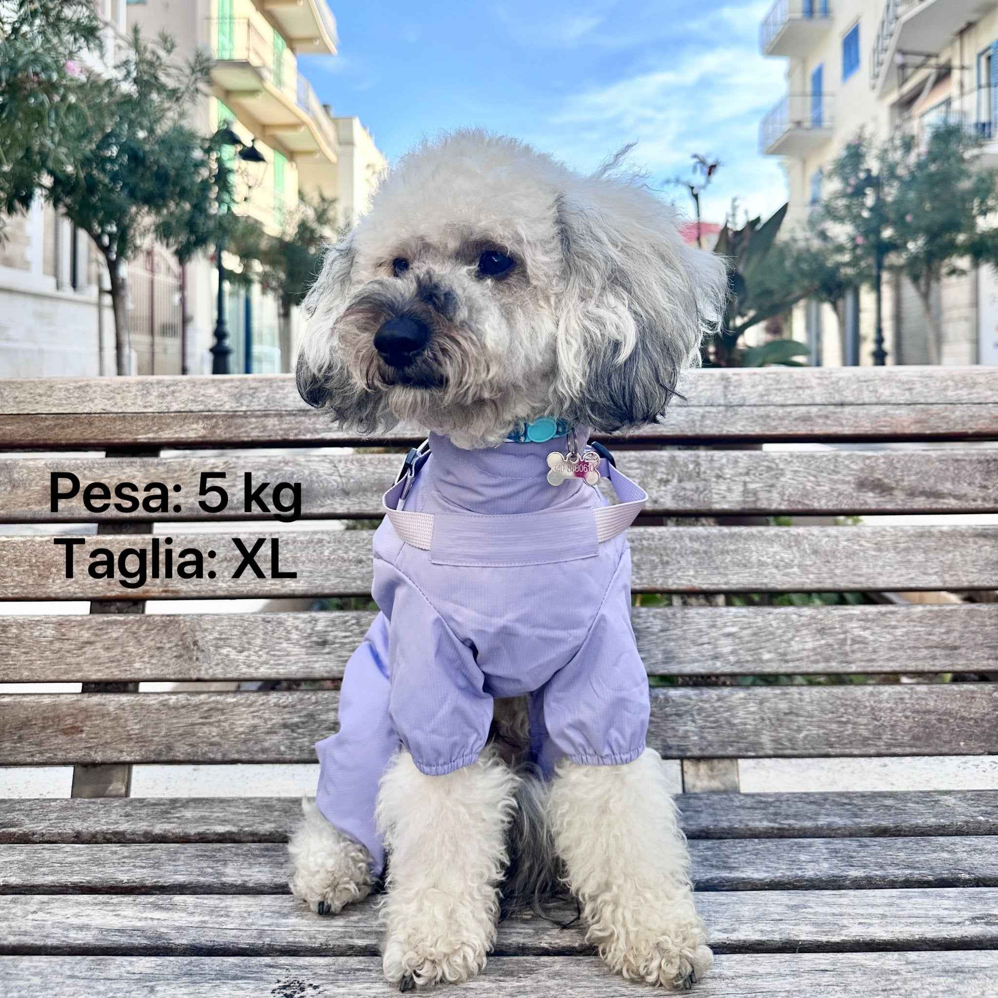 Impermeabile Integrale Viola Chiaro per Cani – Impermeabile, Riflettente e Leggero