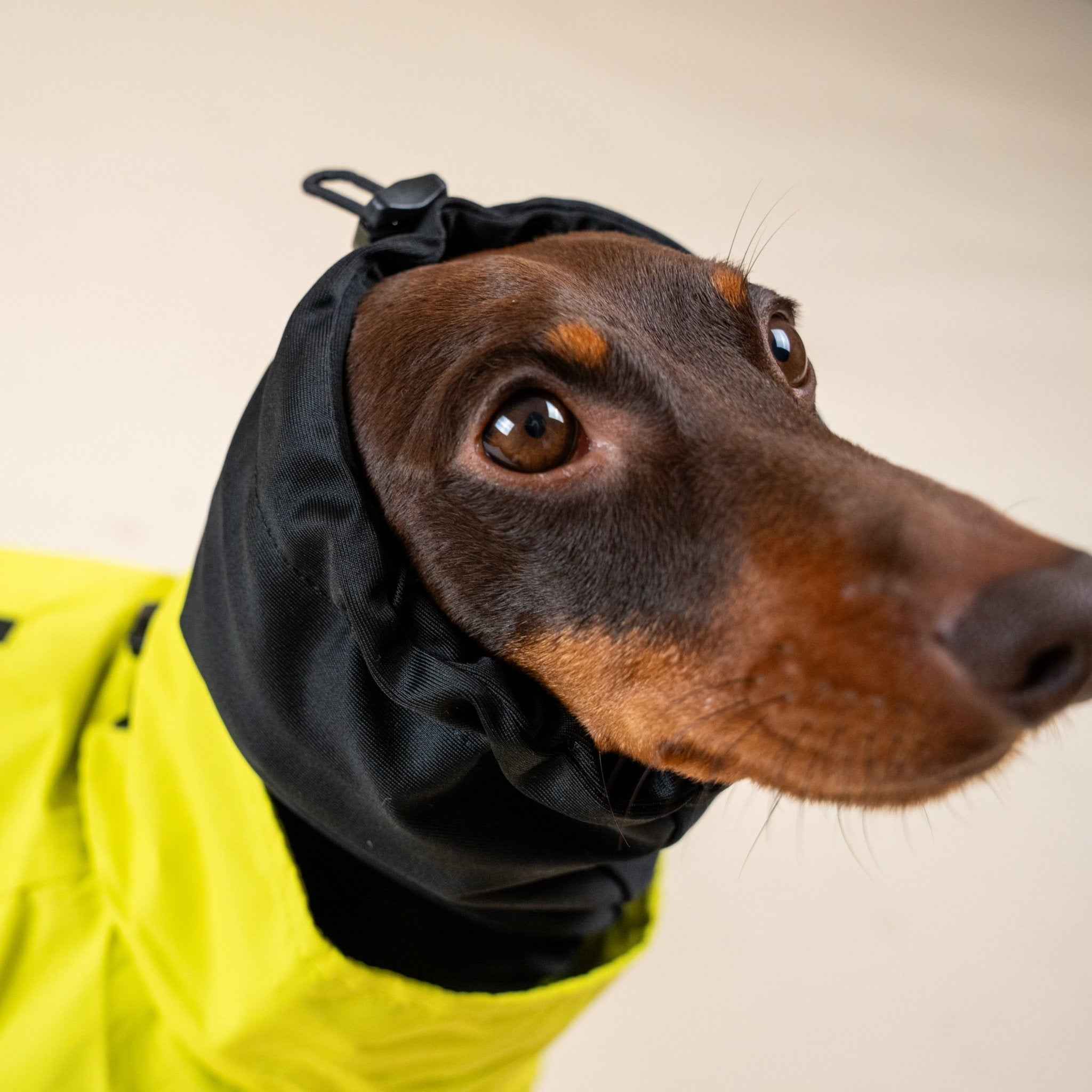 Impermeabile Neon Giallo per Cani con Cappuccio Riflettente e Design a Mantellina