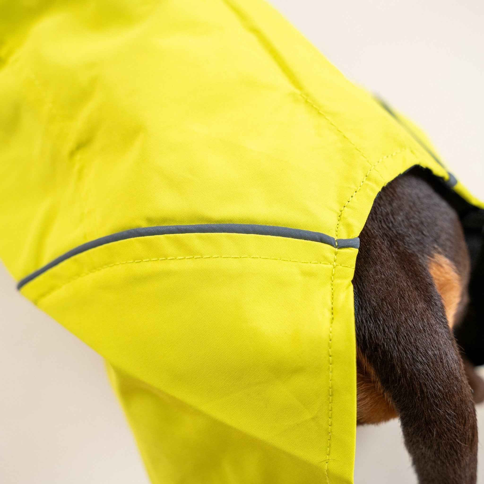 Impermeabile Neon Giallo per Cani con Cappuccio Riflettente e Design a Mantellina