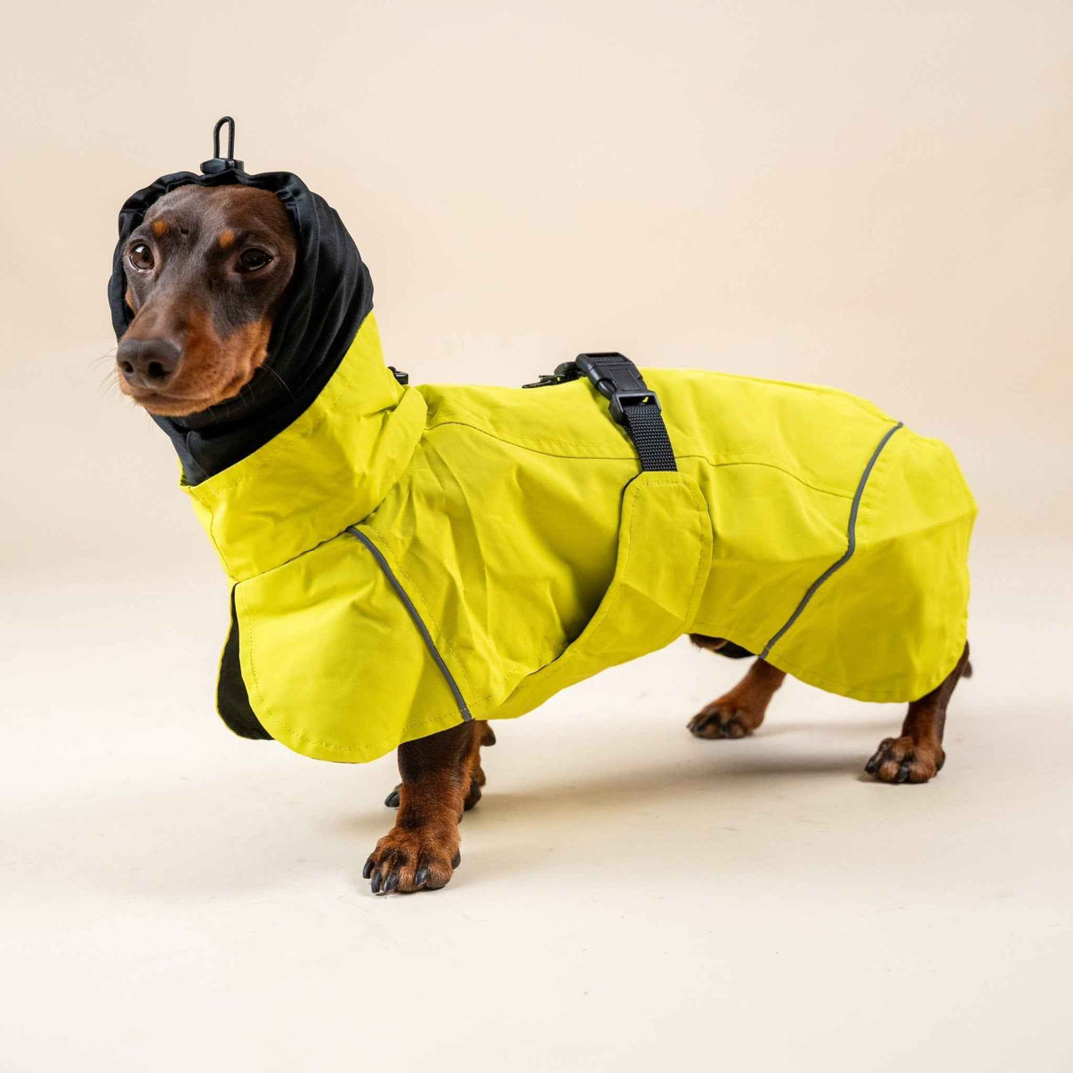 Impermeabile Neon Giallo per Cani con Cappuccio Riflettente e Design a Mantellina