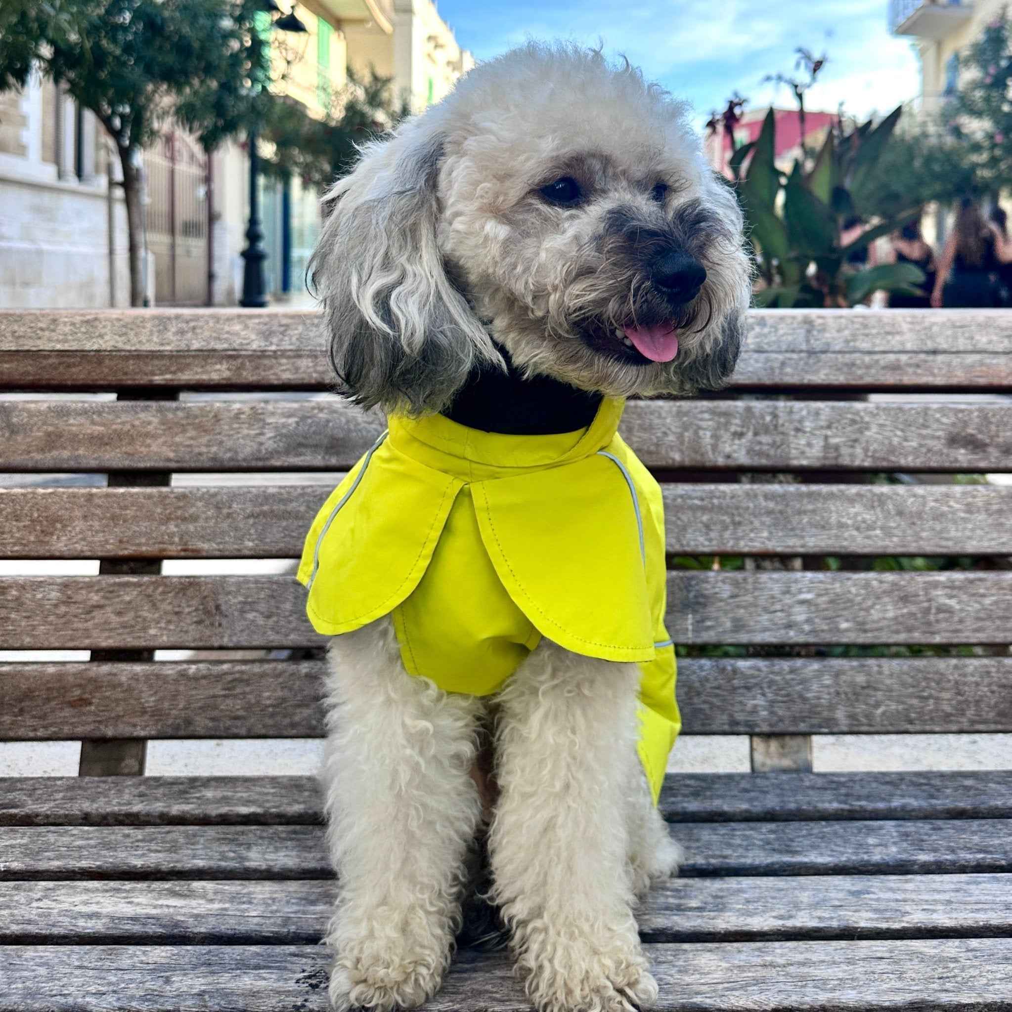 Impermeabile Neon Giallo per Cani con Cappuccio Riflettente e Design a Mantellina