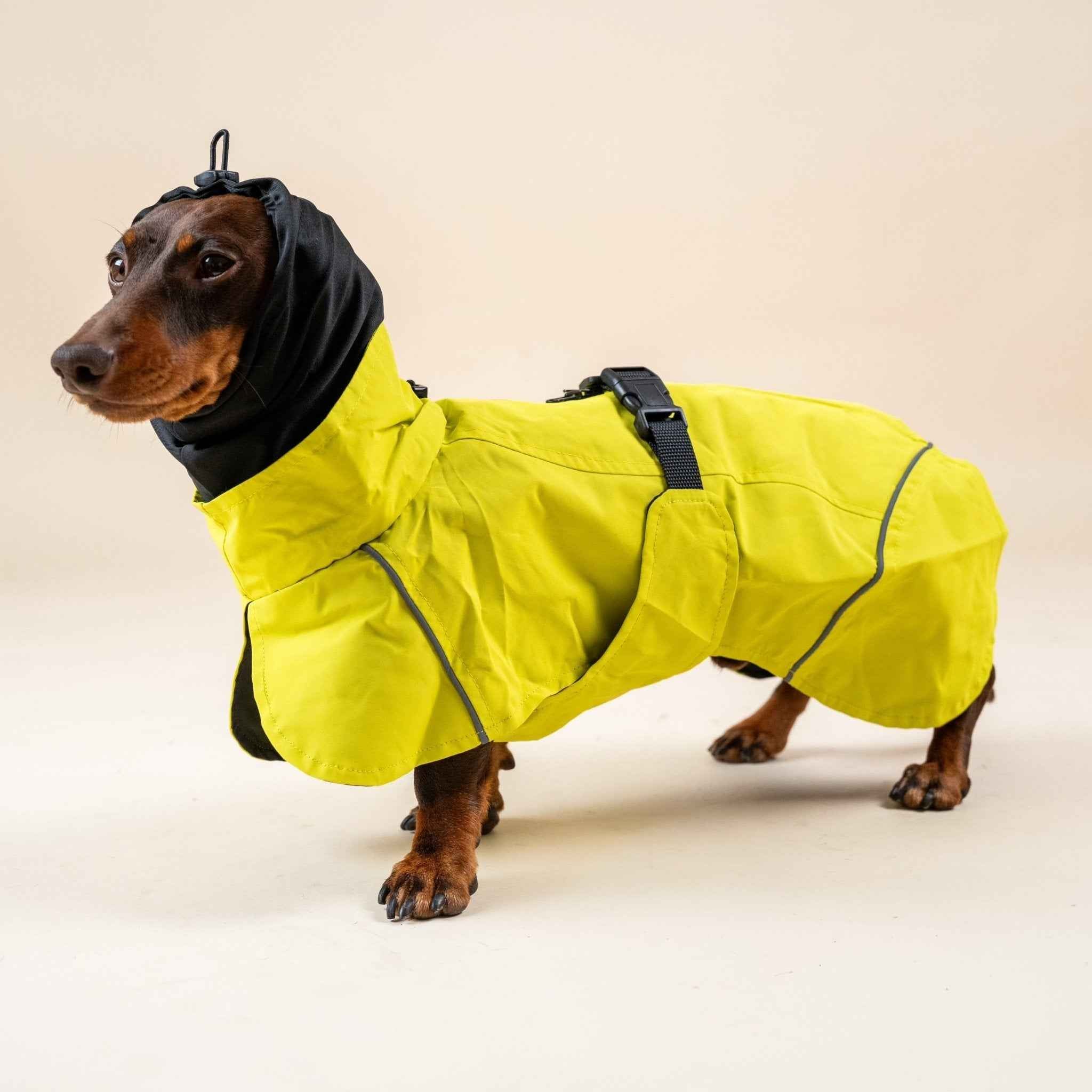 Impermeabile Neon Giallo per Cani con Cappuccio Riflettente e Design a Mantellina