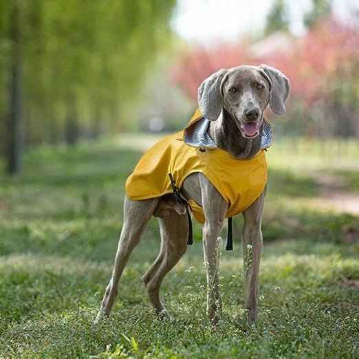 Impermeabile per cani di taglia media e grande con cappuccio – Leggero, portatile e universale