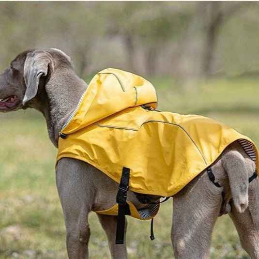 Impermeabile per cani di taglia media e grande con cappuccio – Leggero, portatile e universale