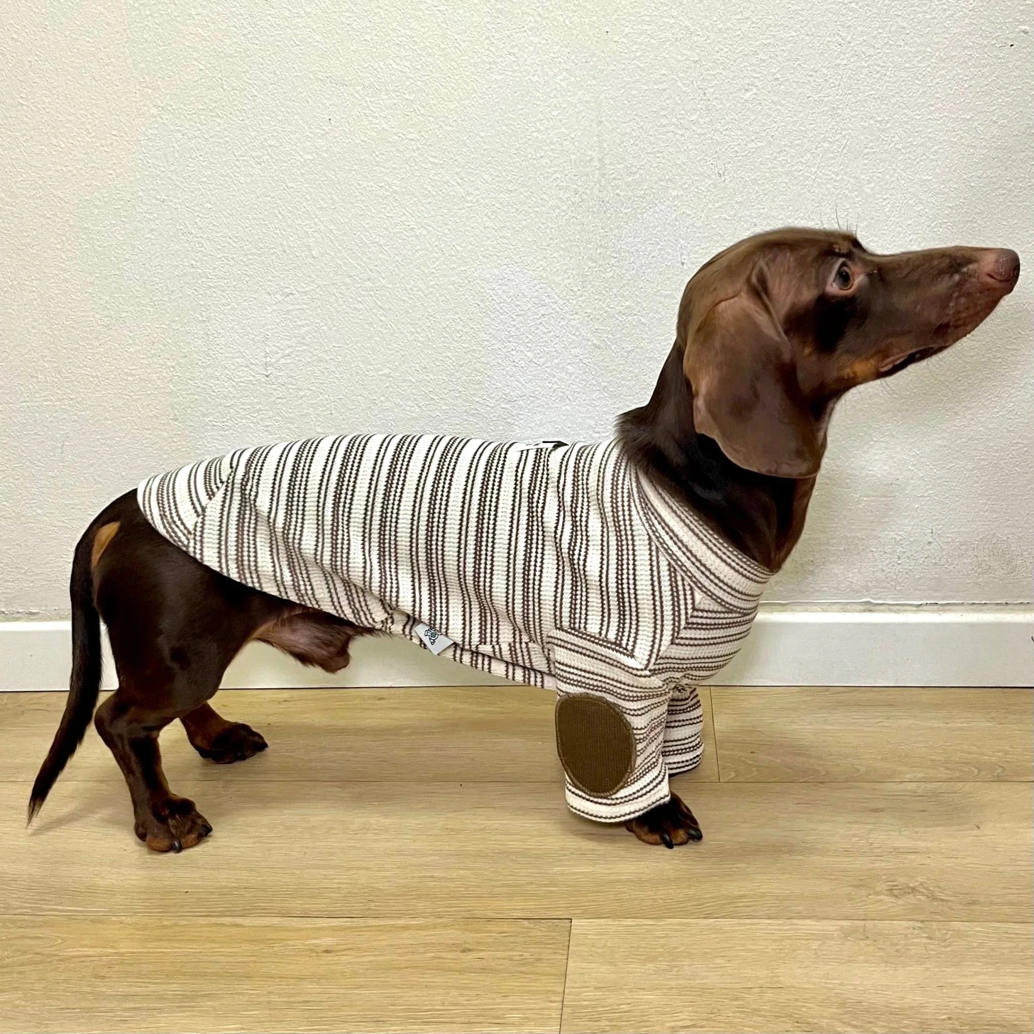 Ivory & Caramel Striped Knit Sweater – Cozy Vintage Academic Charm for Pets - Paw Charge