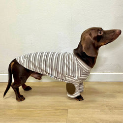 Ivory & Caramel Striped Knit Sweater – Cozy Vintage Academic Charm for Pets - Paw Charge