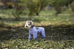 Light Purple Full - Body Dog Raincoat – Waterproof, Reflective & Lightweight - Paw Charge