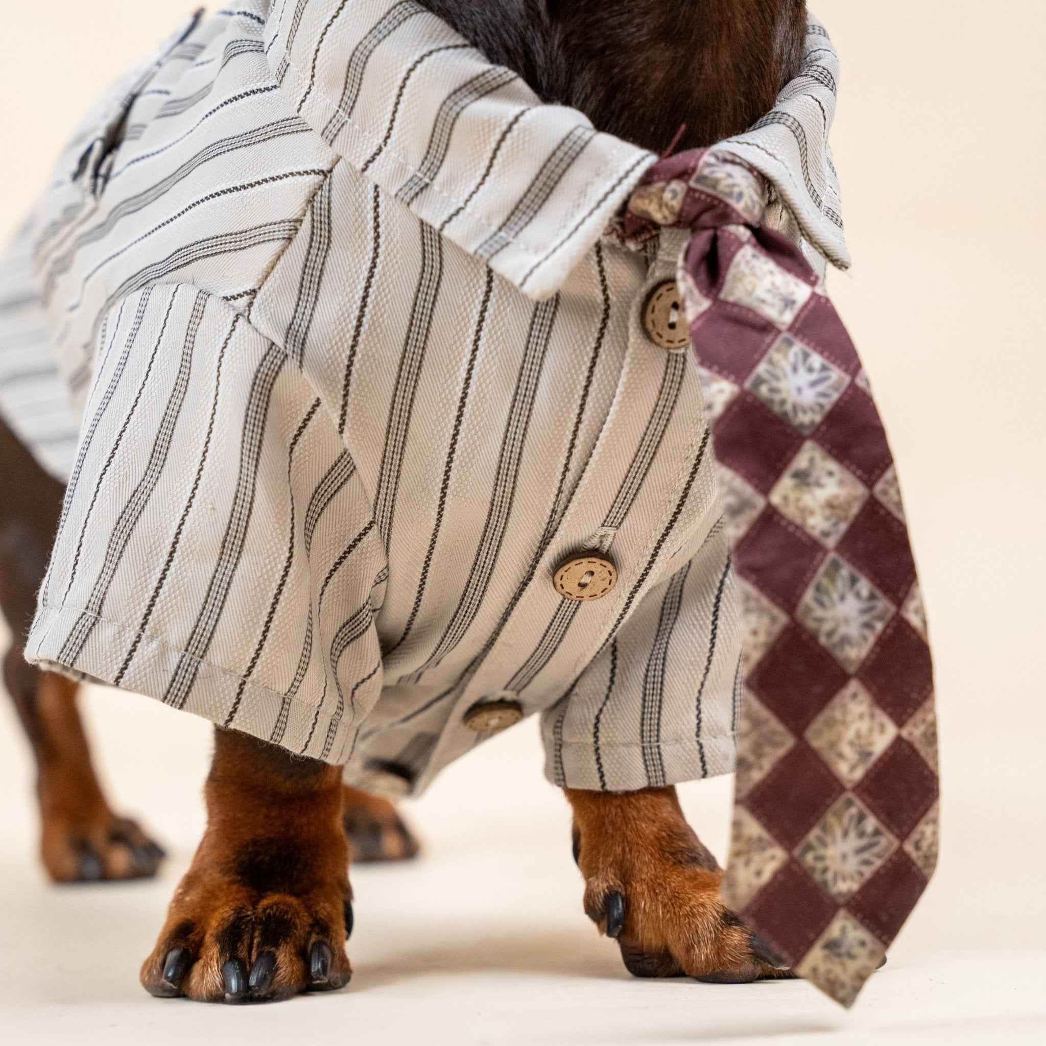 Maglietta a Righe Vintage per Animali con Cravattino Classico – Look Raffinato per Animali