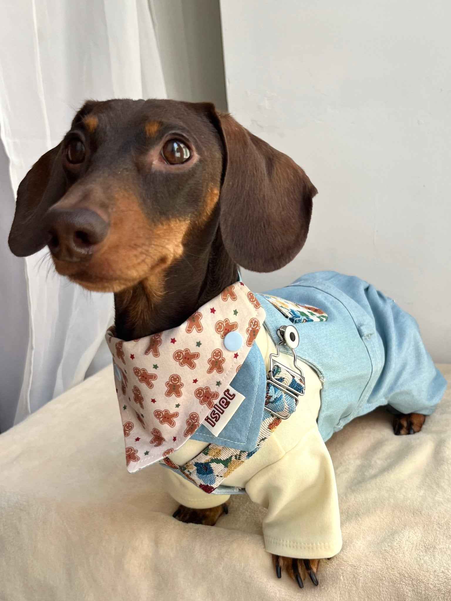 Maglietta Base Giallo Crema per Animali — Morbida, Elastico e Traspirante