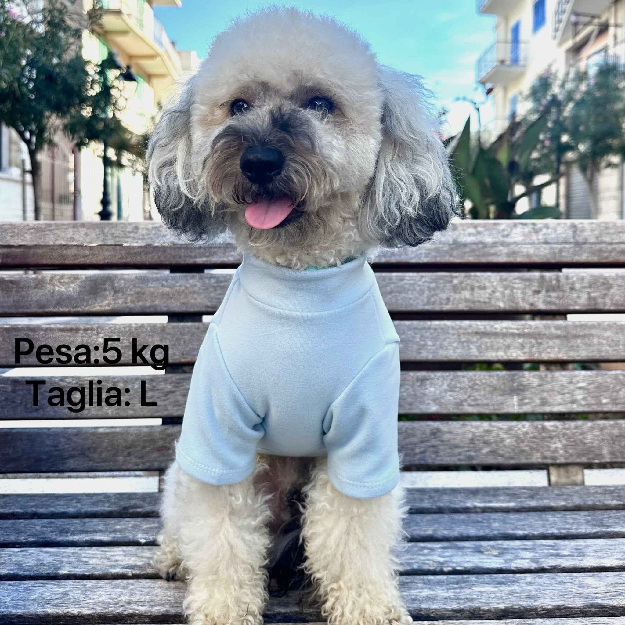 Maglietta Celeste per Animali – Morbida e Traspirante per l’Uso Quotidiano di pets
